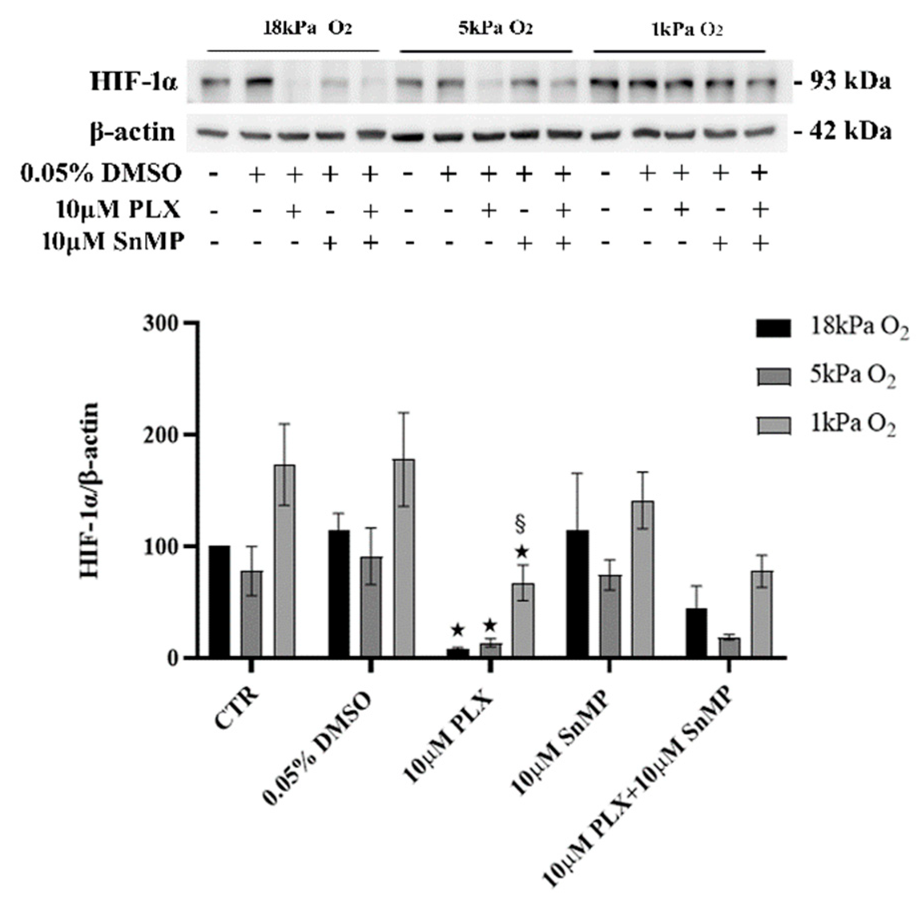 Antioxidants 11 01171 g003