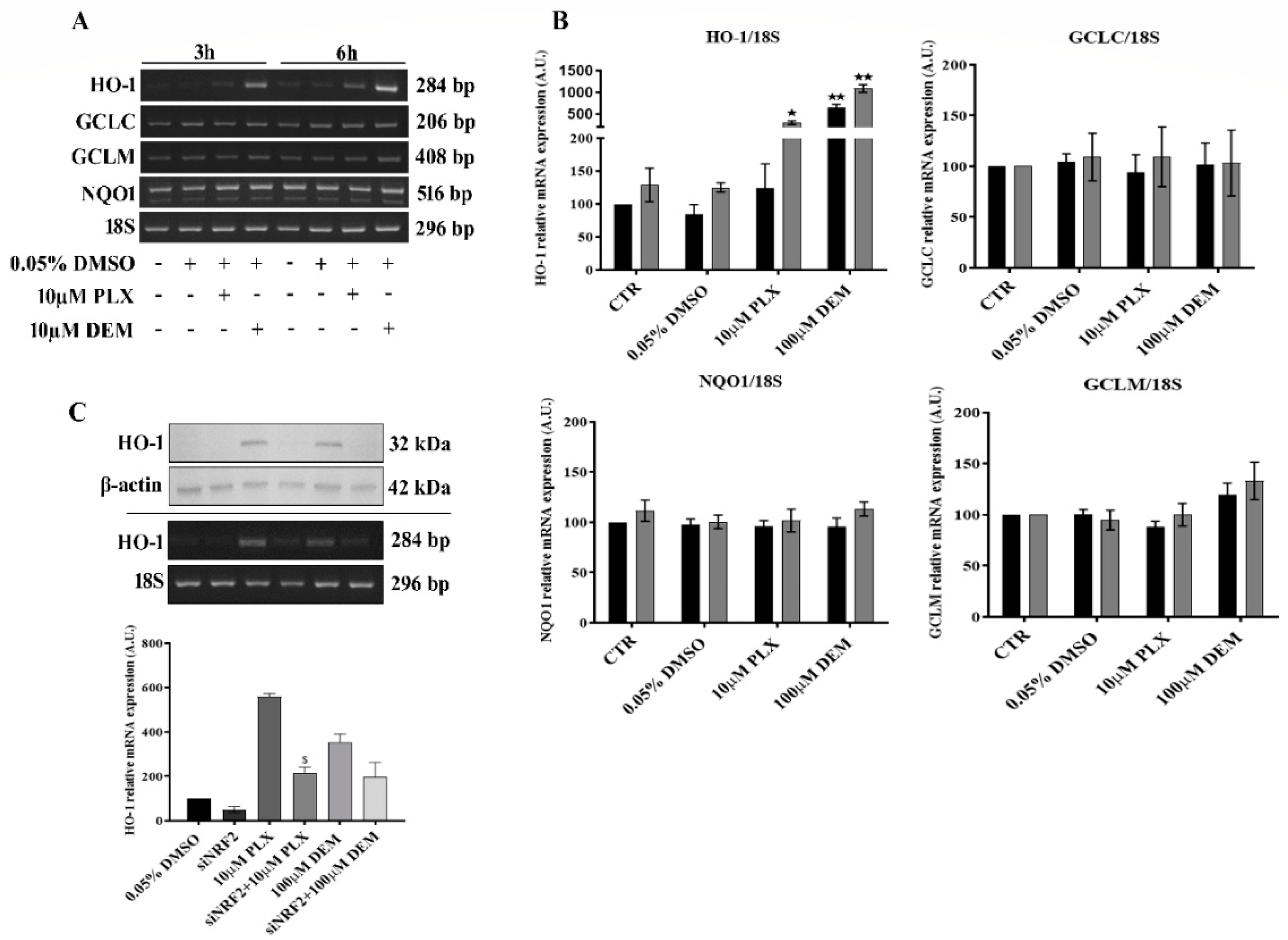 Antioxidants 11 01171 g005