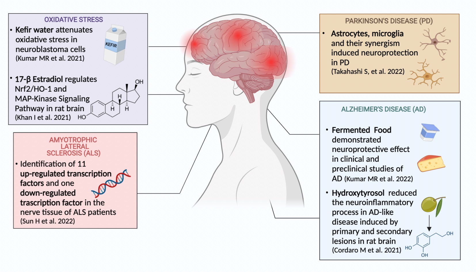 Antioxidants Free FullText Antioxidants and AntiInflammatory