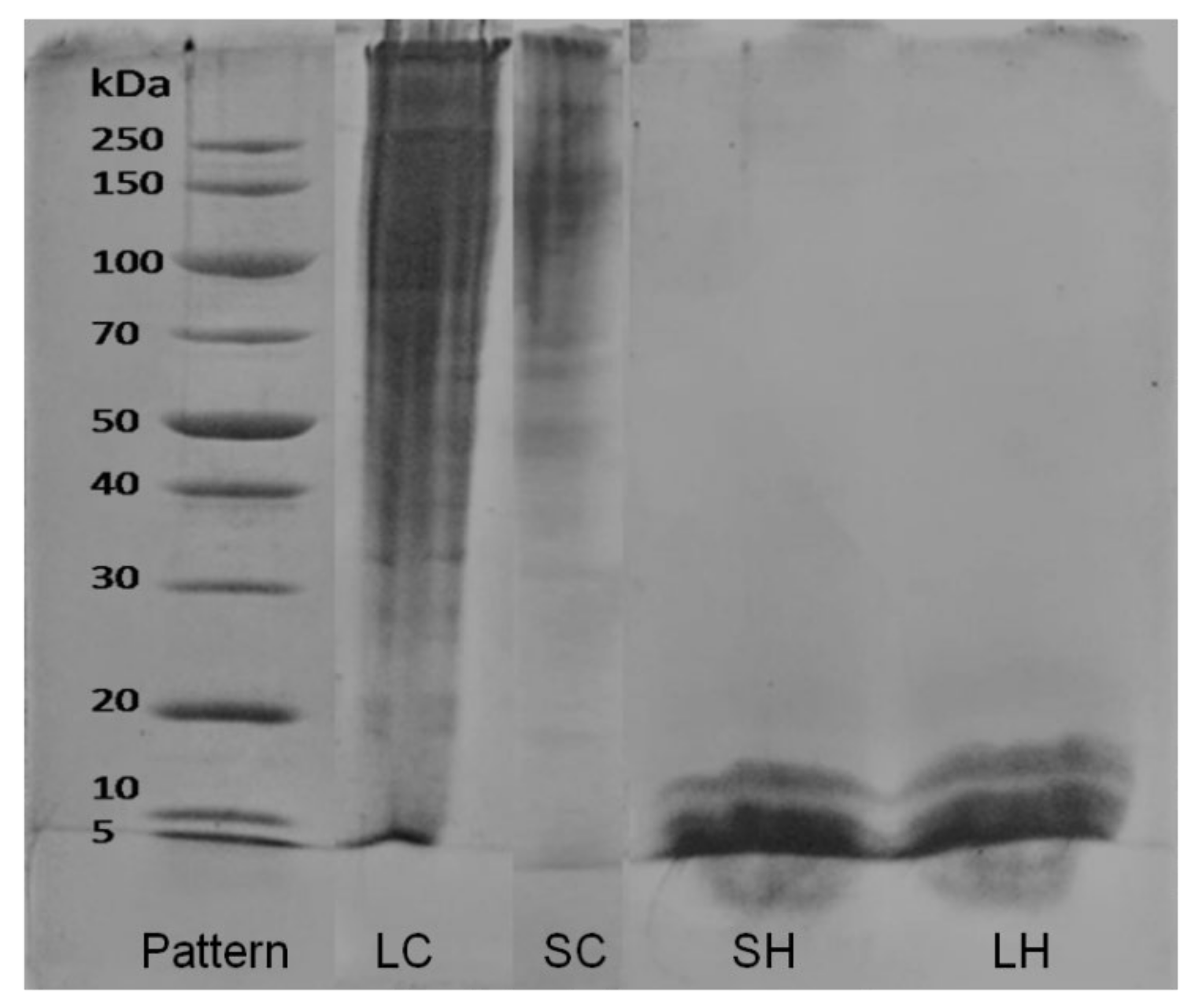 Antioxidants 11 01173 g002 550