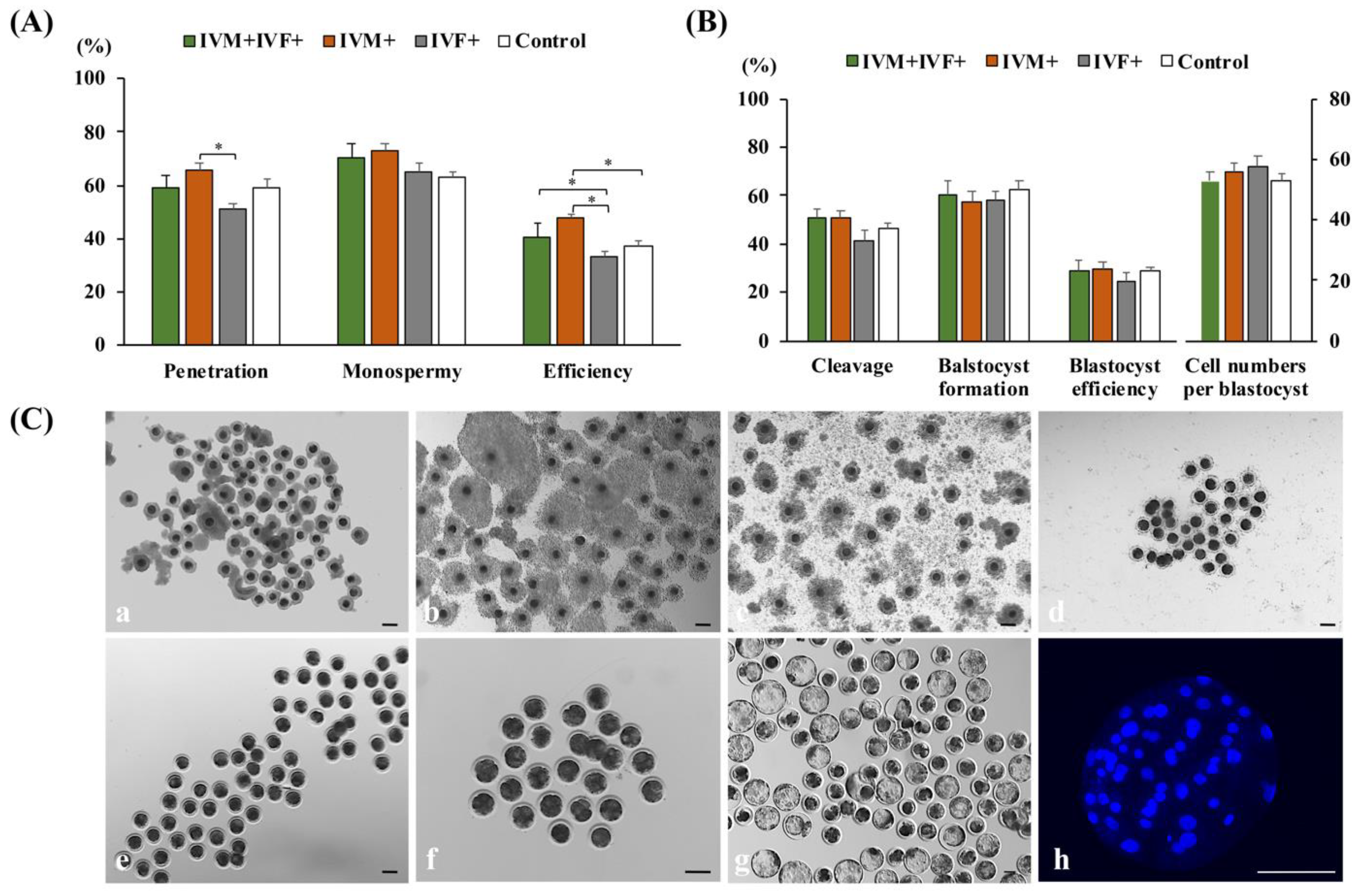 Antioxidants 11 01177 g001 Antioxidants 11 01177 g001