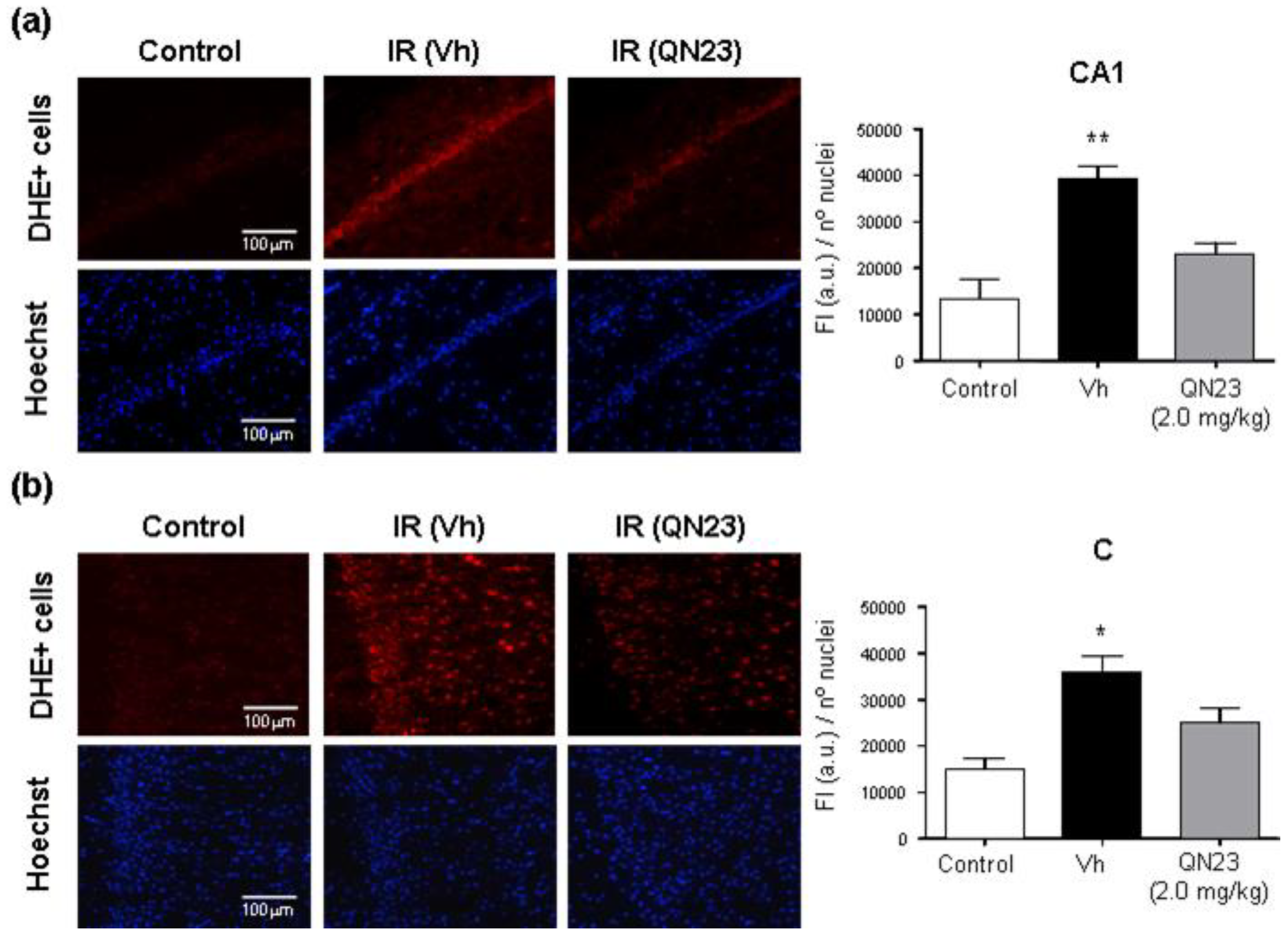 Antioxidants 11 01186 g003