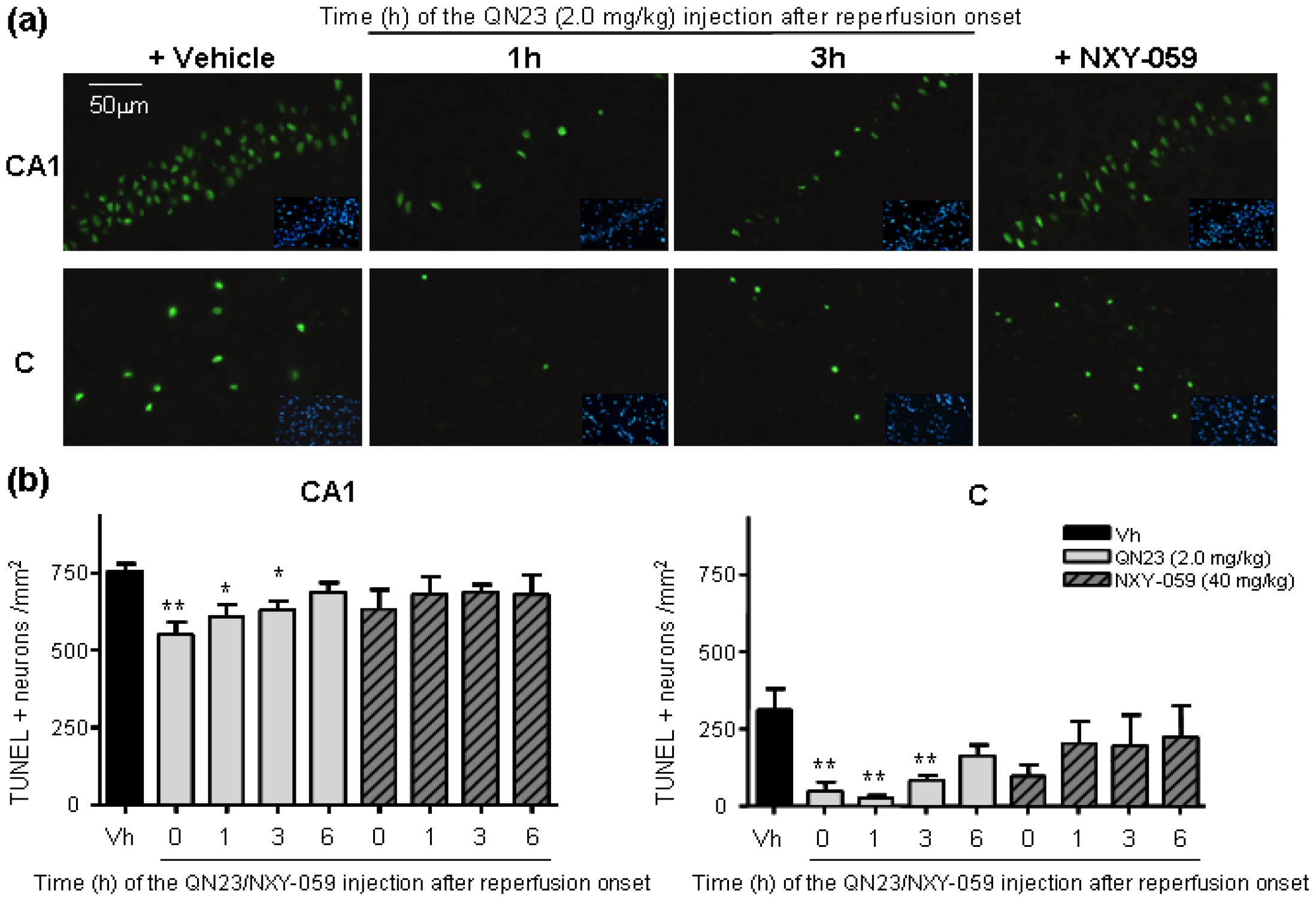 Antioxidants 11 01186 g005