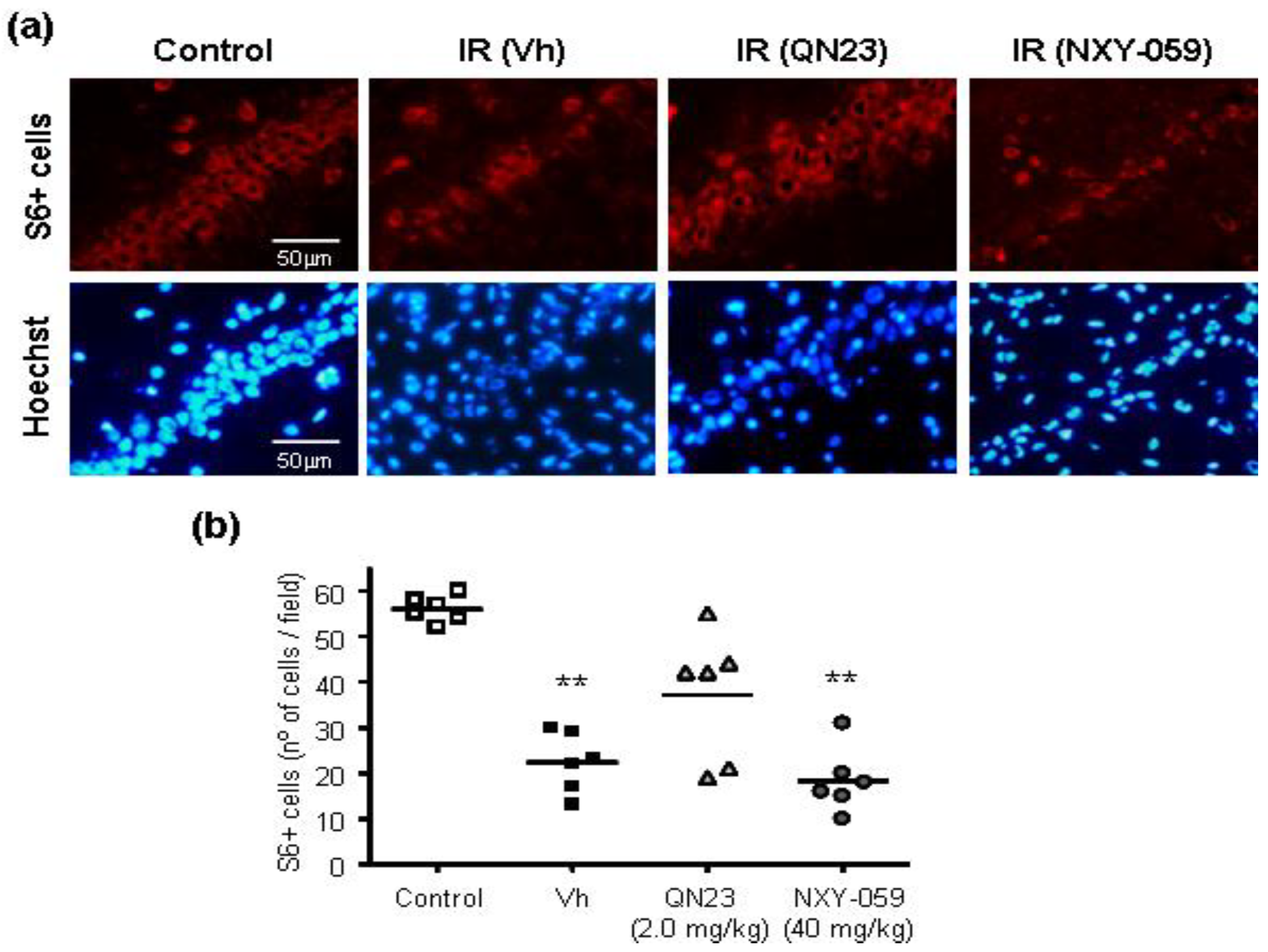 Antioxidants 11 01186 g007
