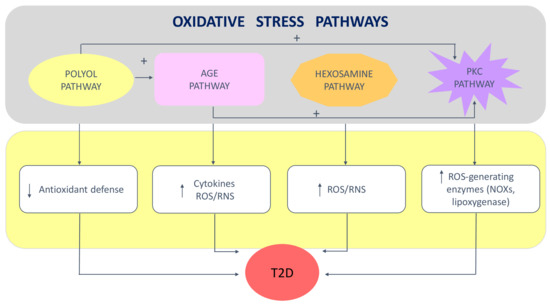 Antioxidants | Free Full-Text | Selenium and Selenoproteins at the 