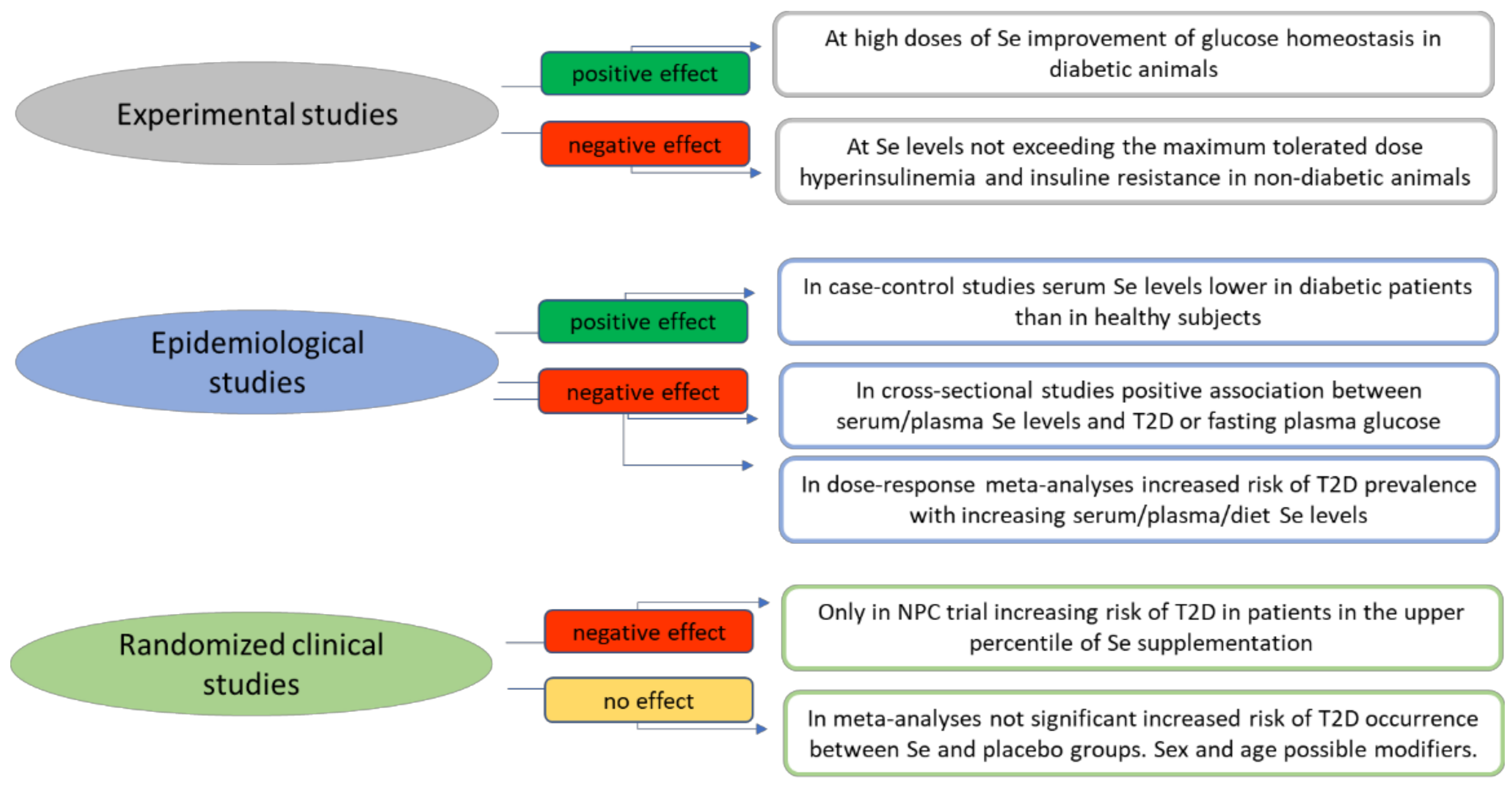 Antioxidants 11 01188 g003