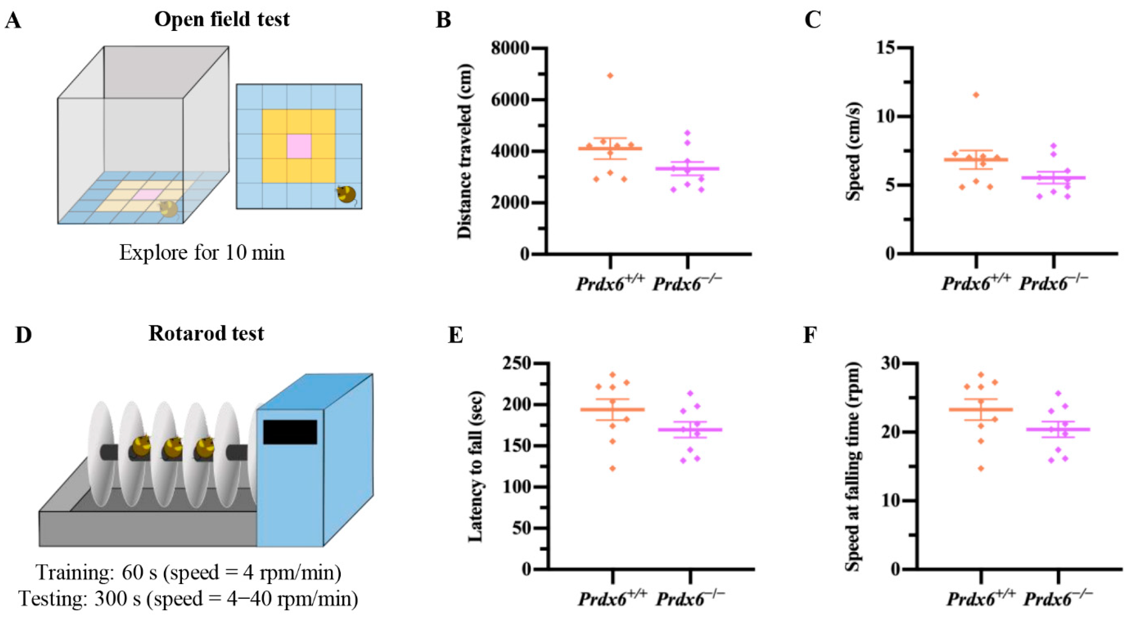 Antioxidants 11 01201 g002
