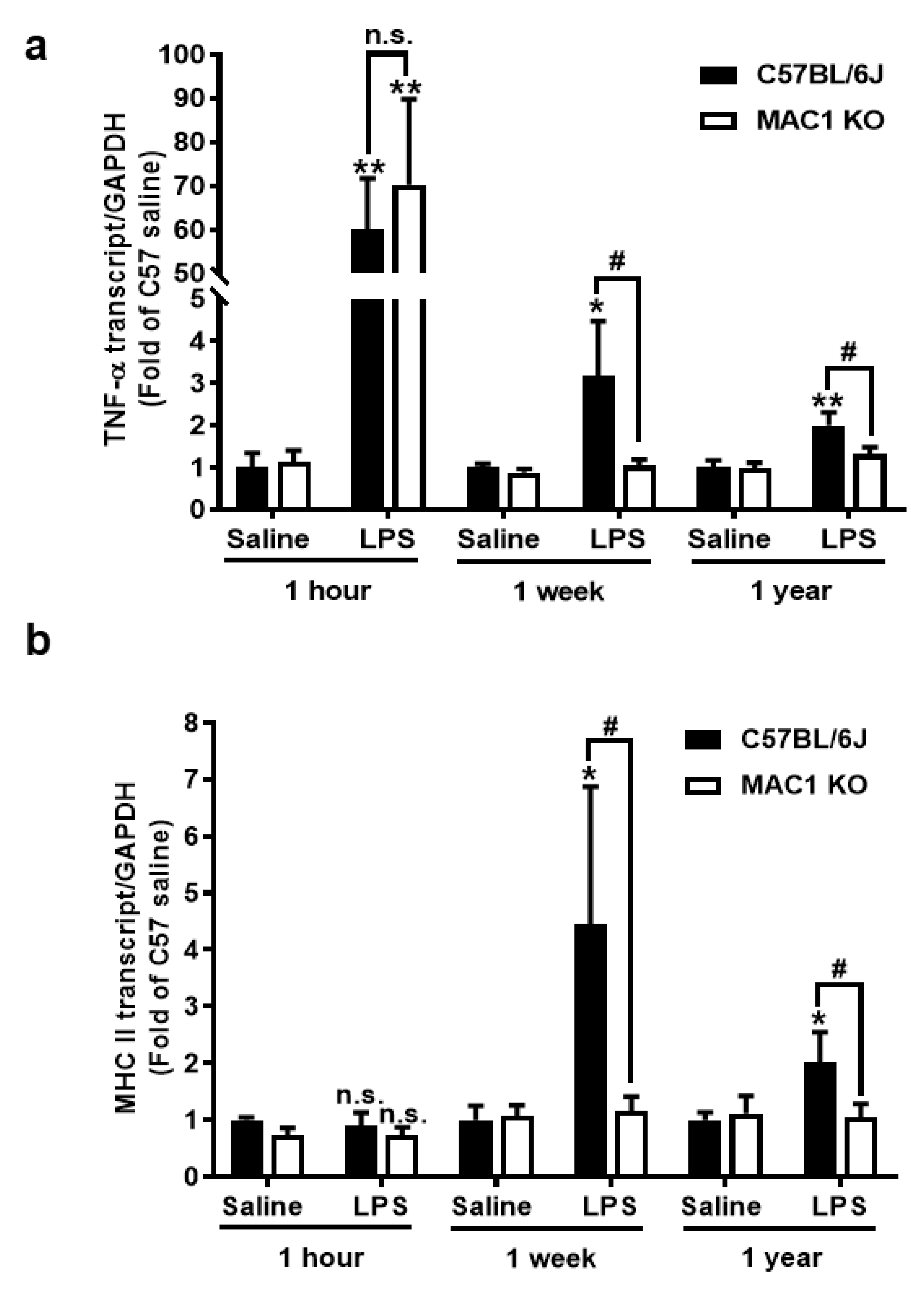 Antioxidants 11 01202 g001a 550
