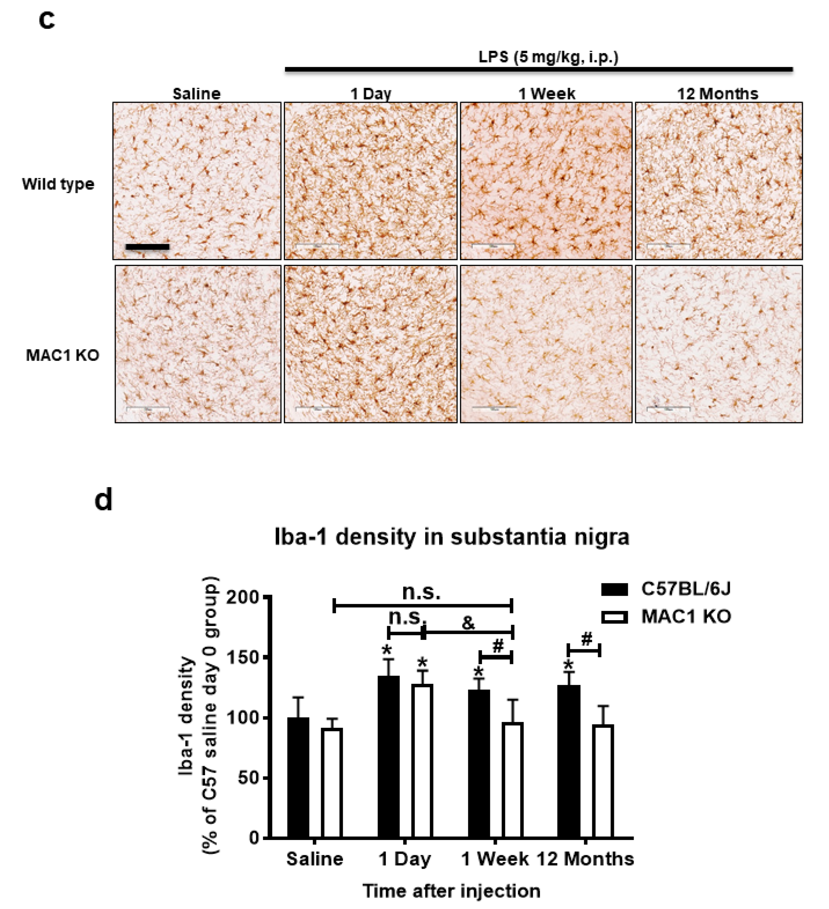 Antioxidants 11 01202 g001b 550