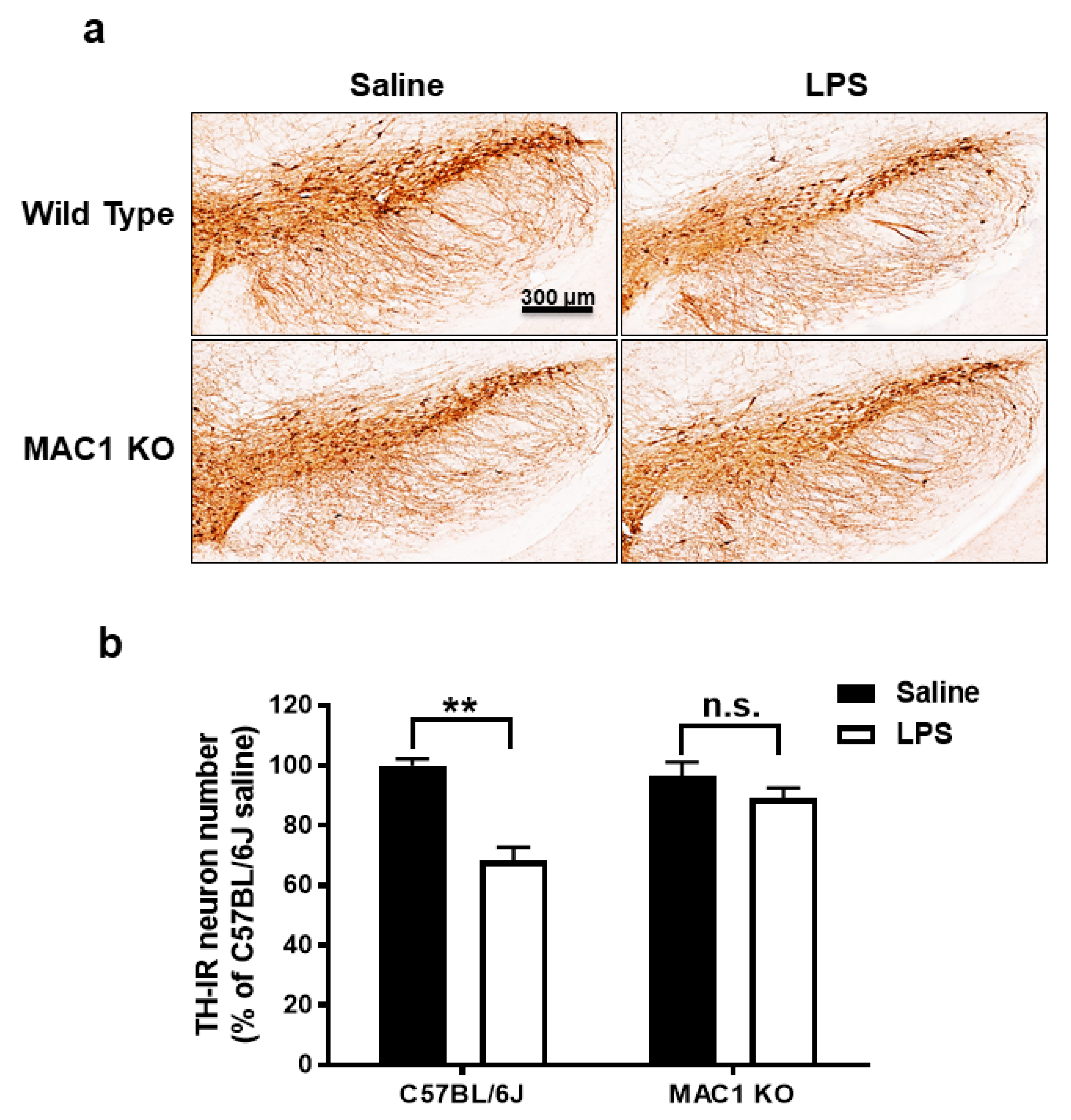 Antioxidants 11 01202 g002 550