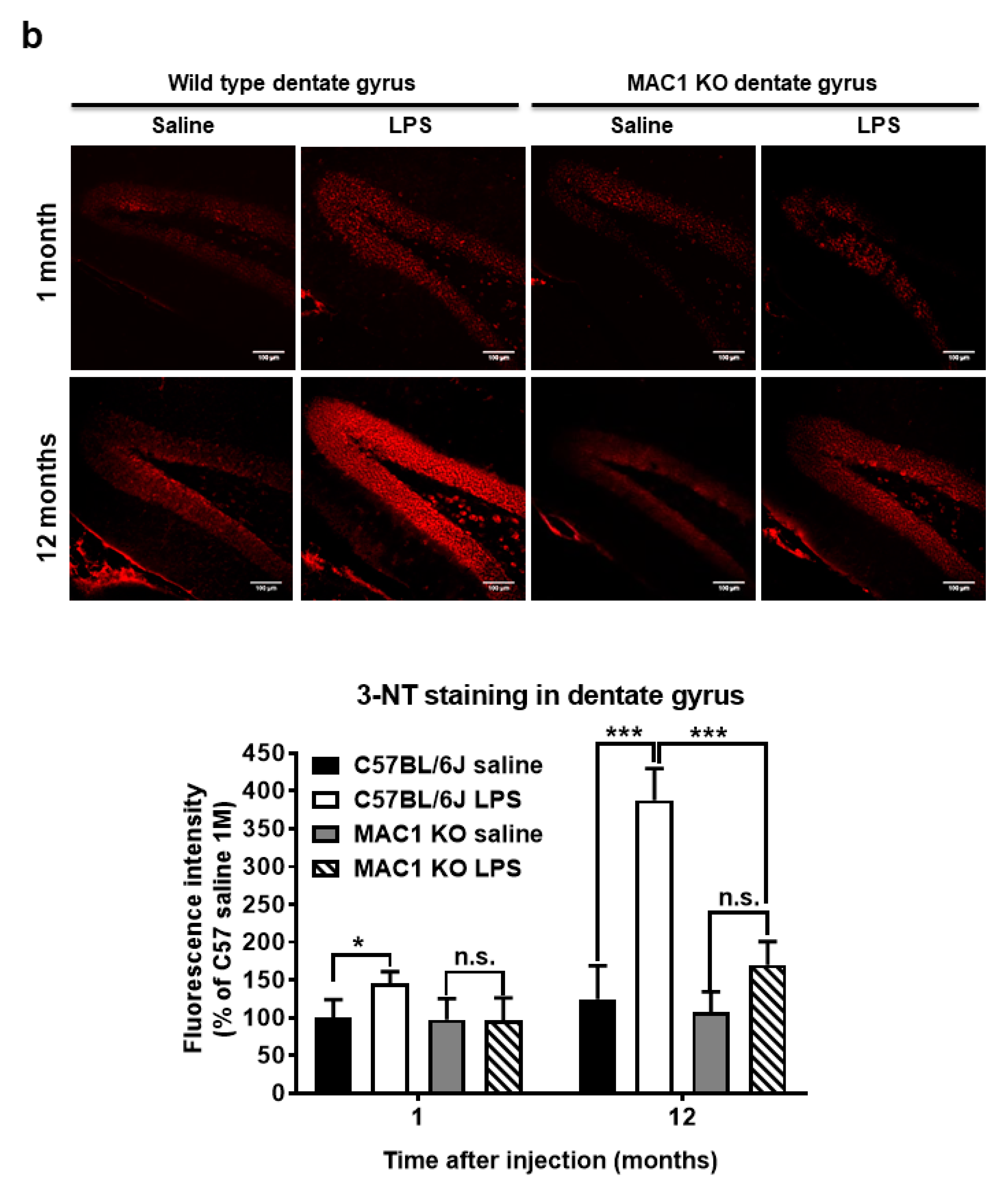 Antioxidants 11 01202 g004b 550