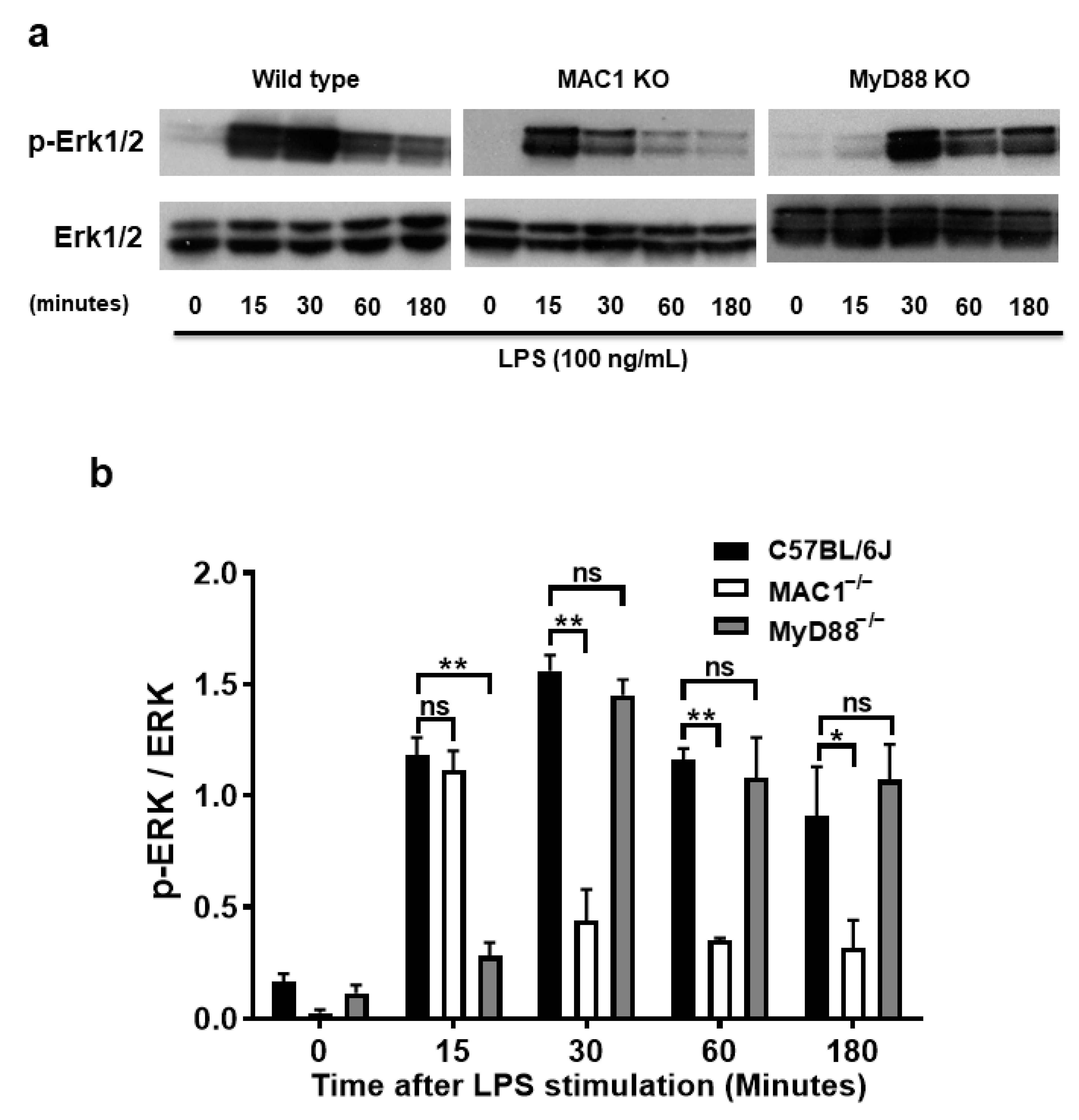 Antioxidants 11 01202 g006a 550