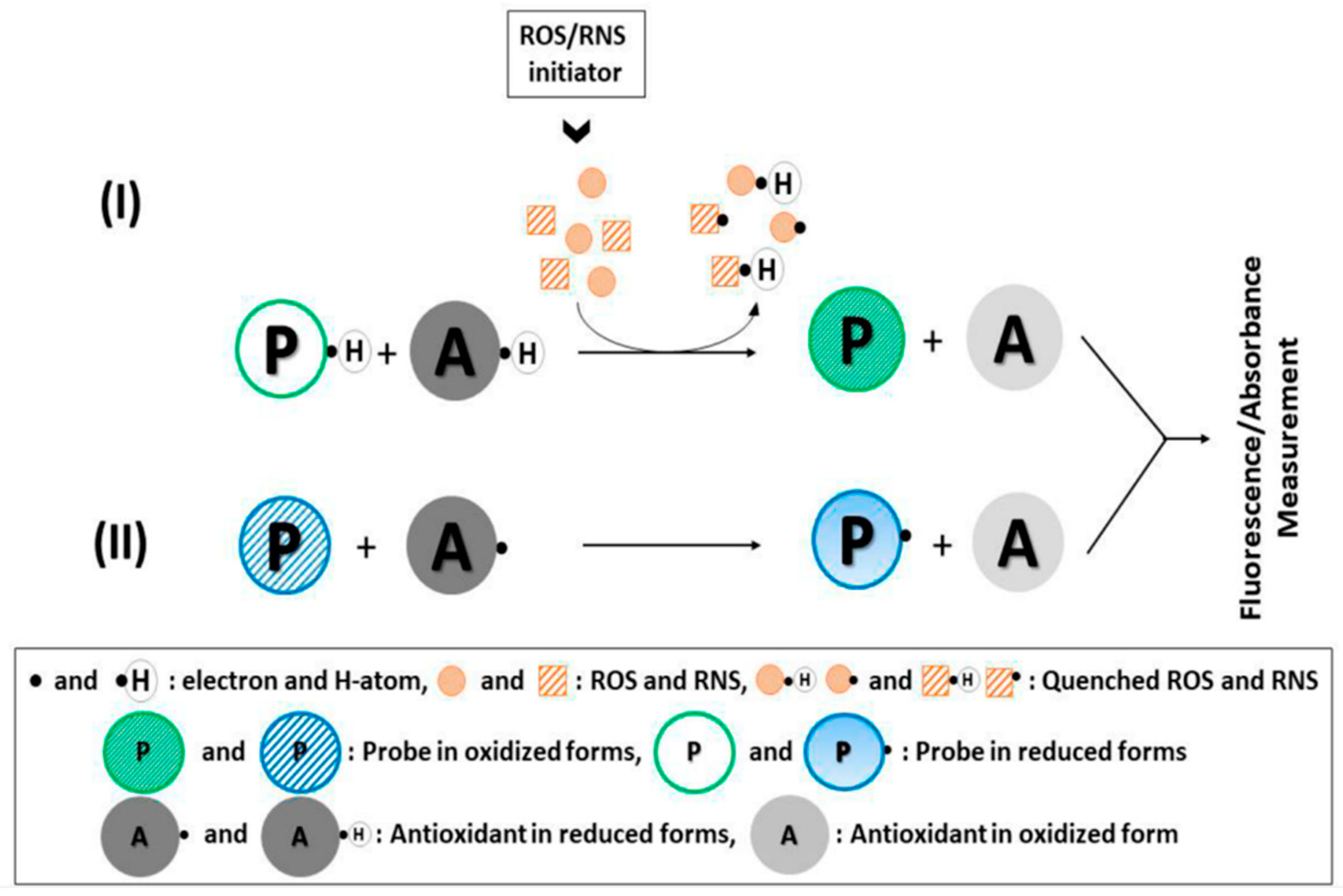 Antioxidants 11 01205 g002 550