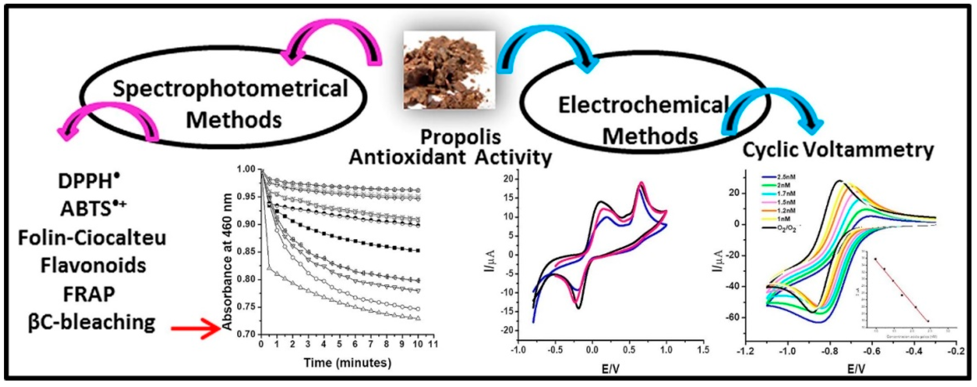 Antioxidants 11 01205 g003 550