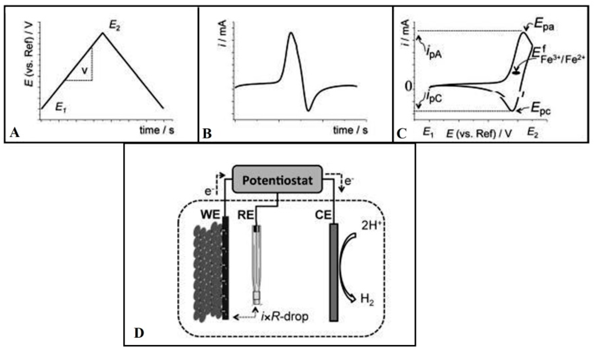 Antioxidants 11 01205 g004 550