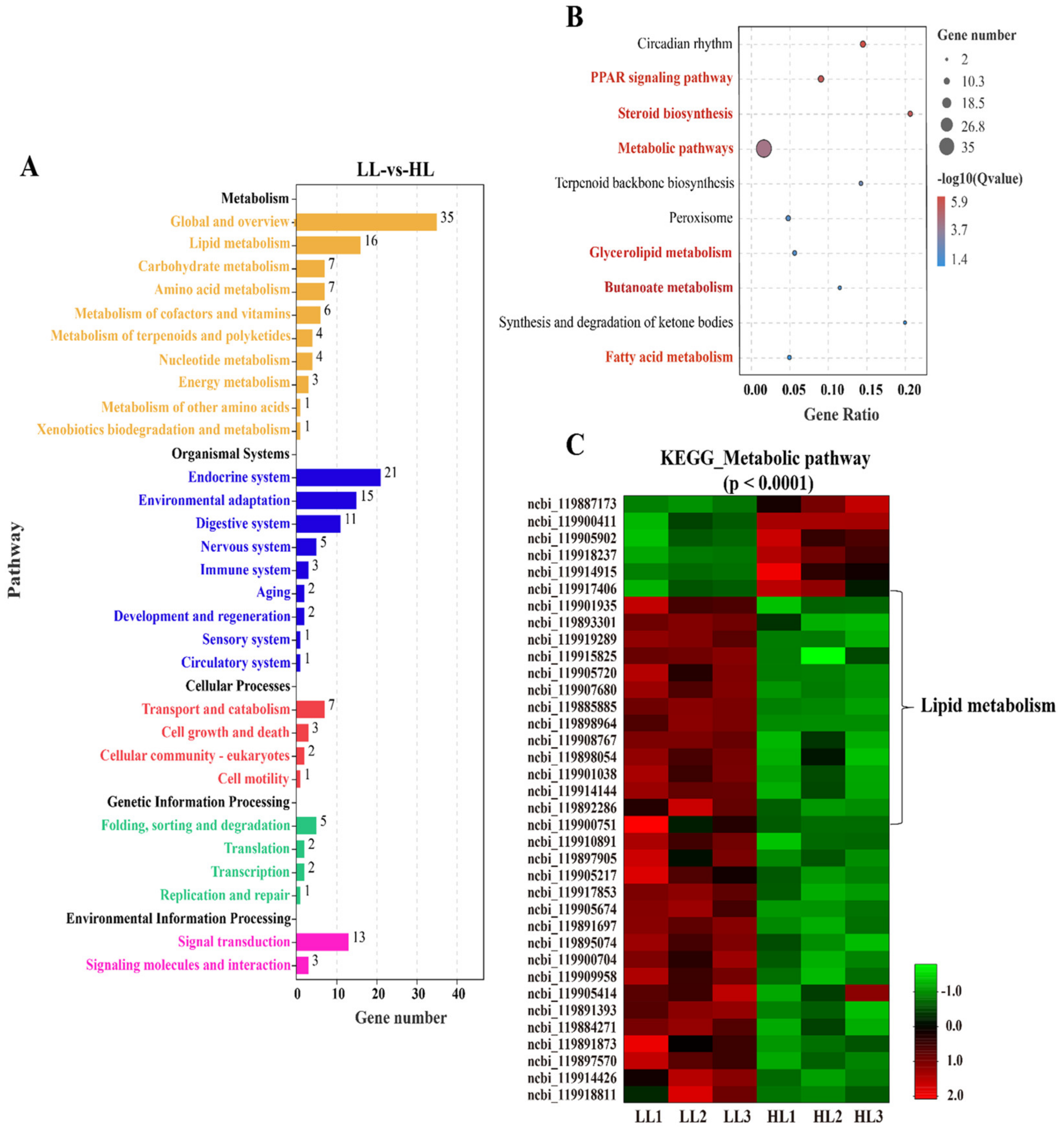 Antioxidants 11 01215 g005