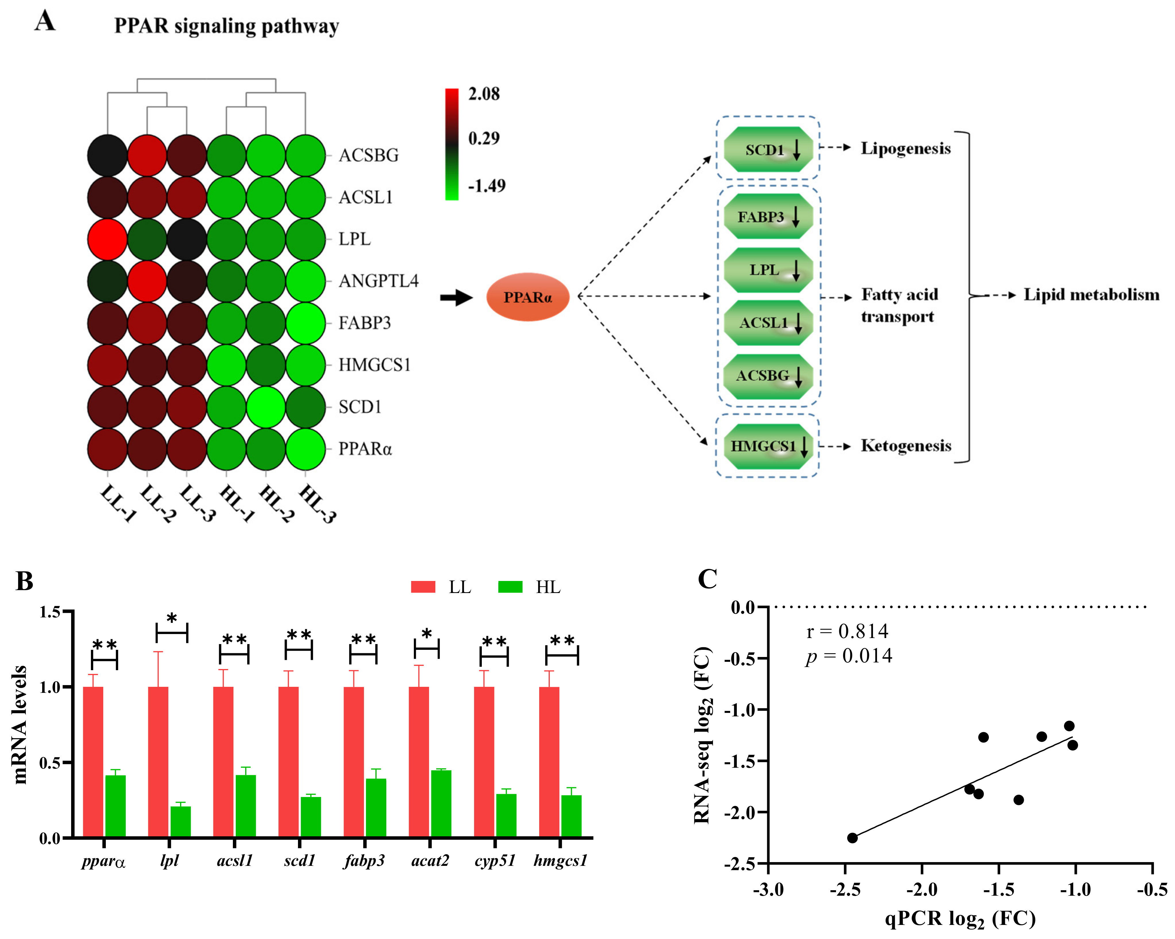 Antioxidants 11 01215 g006