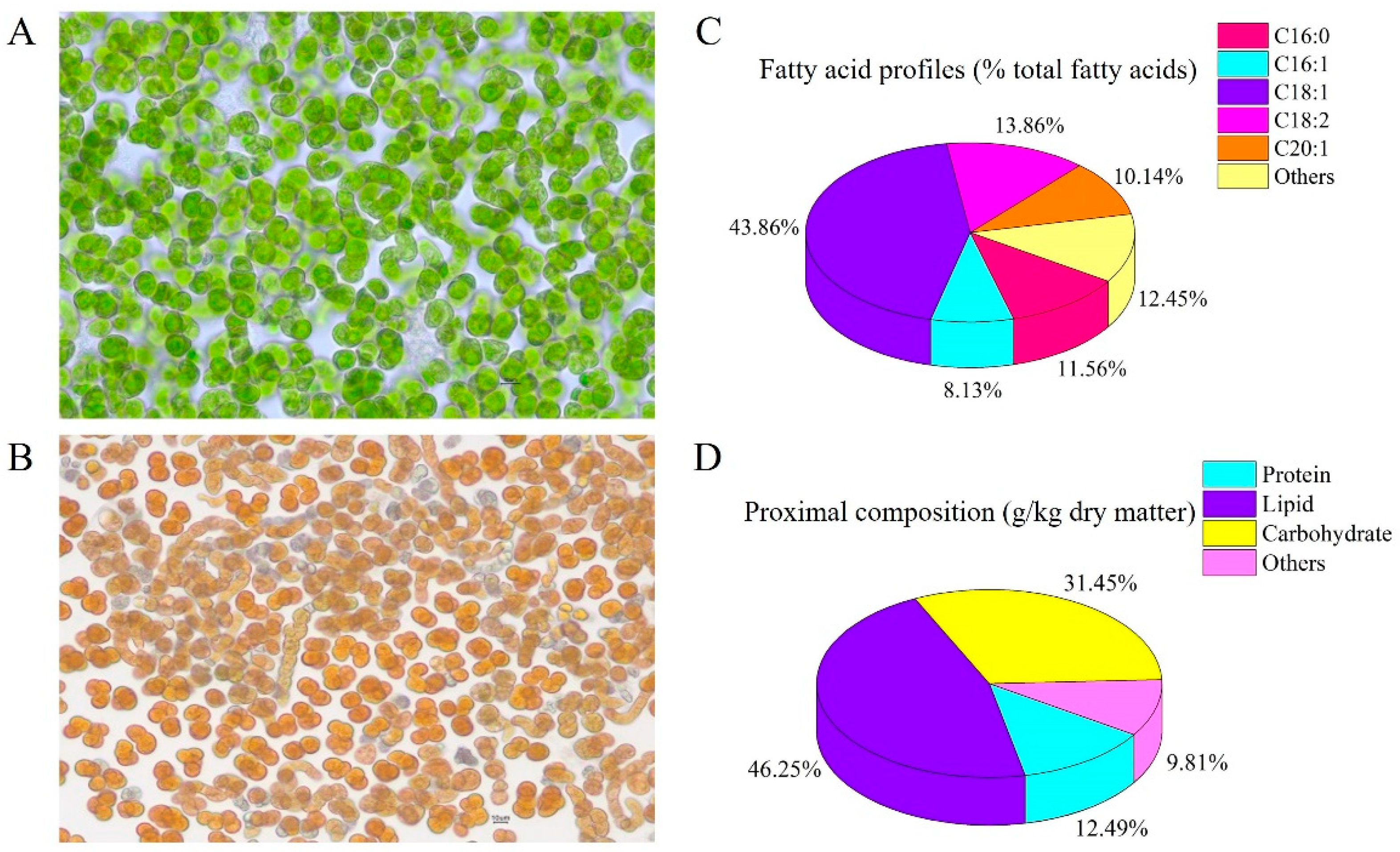 Antioxidants 11 01220 g001 550