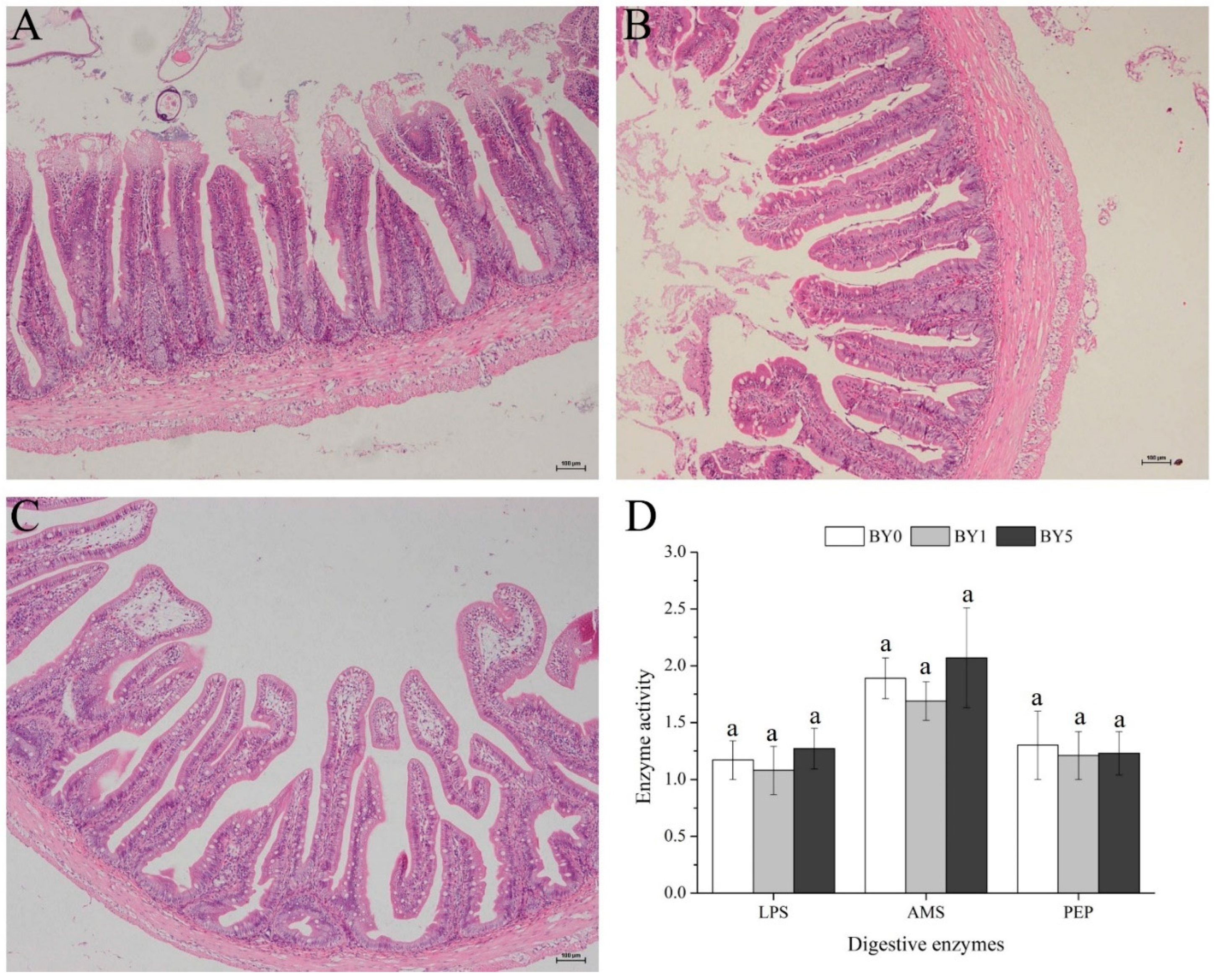 Antioxidants 11 01220 g005 550