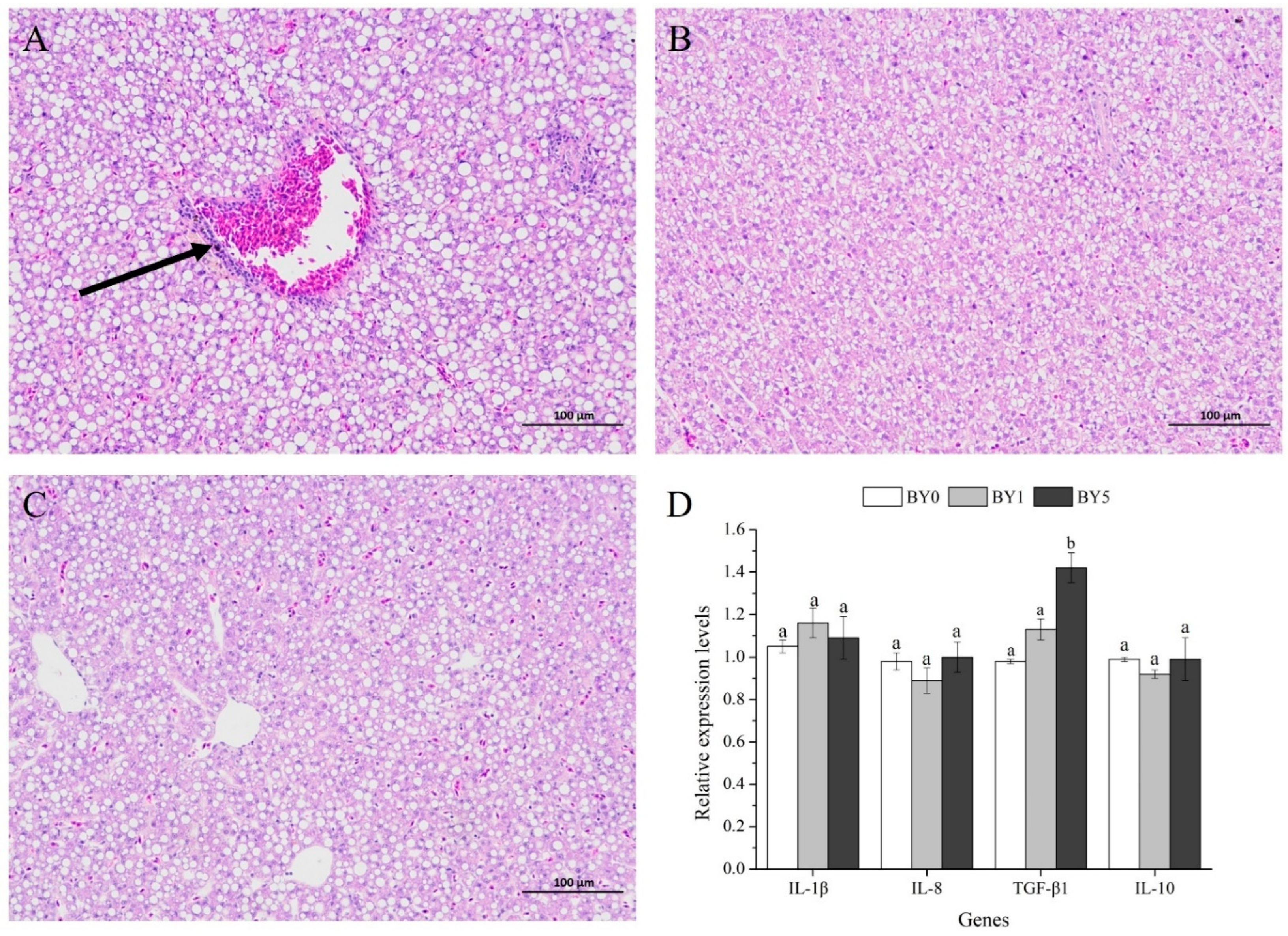 Antioxidants 11 01220 g006 550