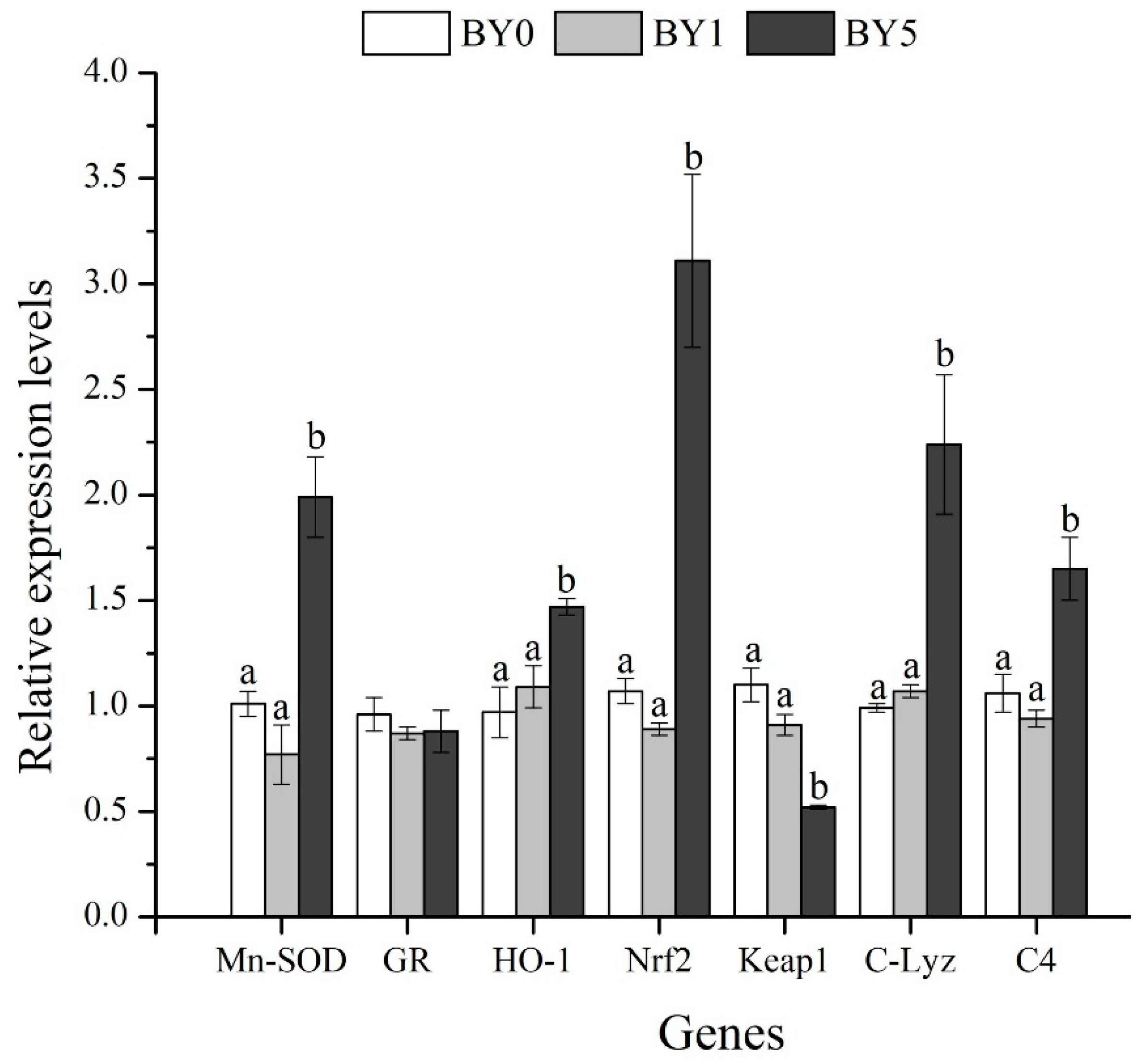 Antioxidants 11 01220 g007 550