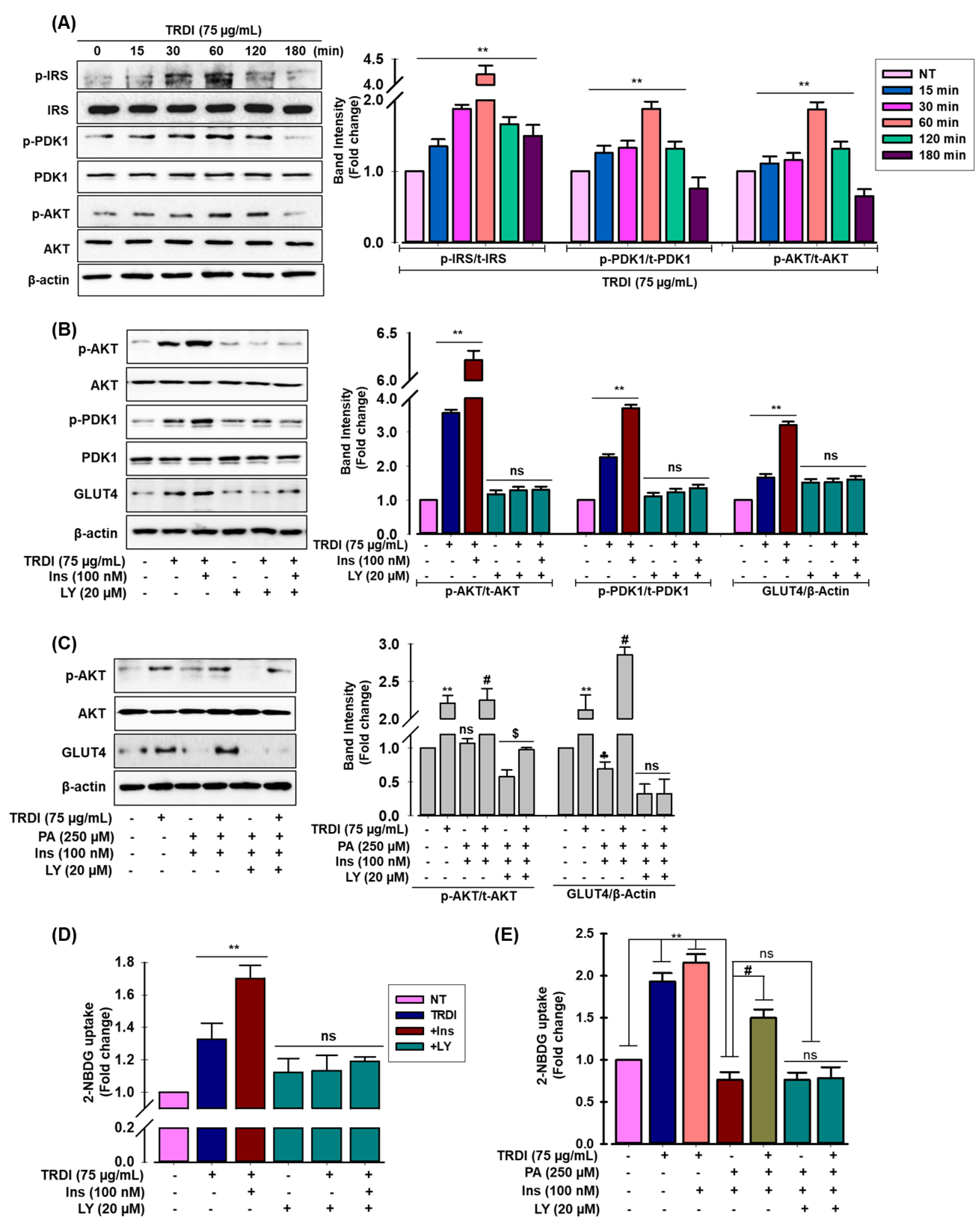 Antioxidants 11 01227 g003 Antioxidants 11 01227 g003