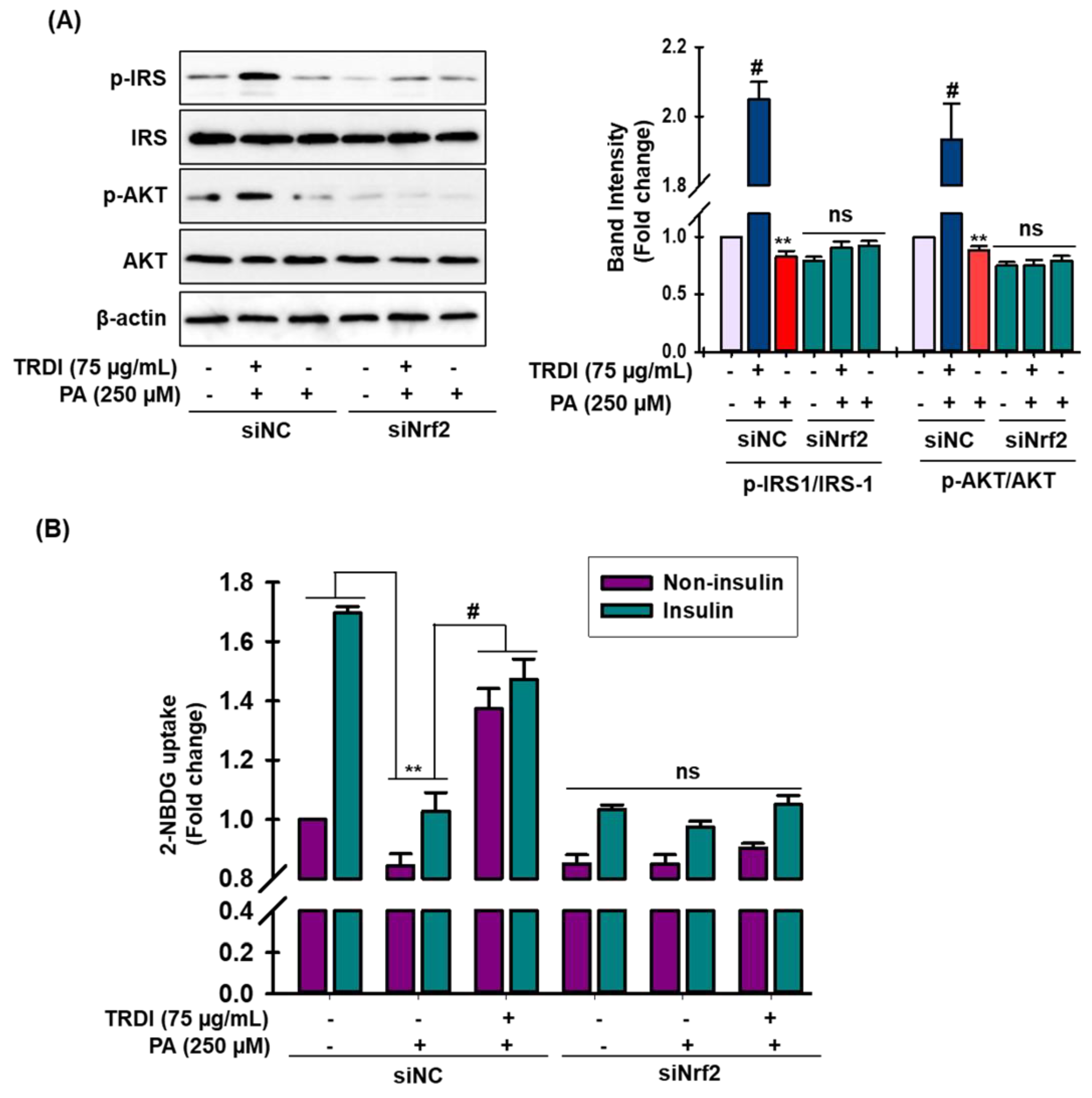Antioxidants 11 01227 g005 Antioxidants 11 01227 g005