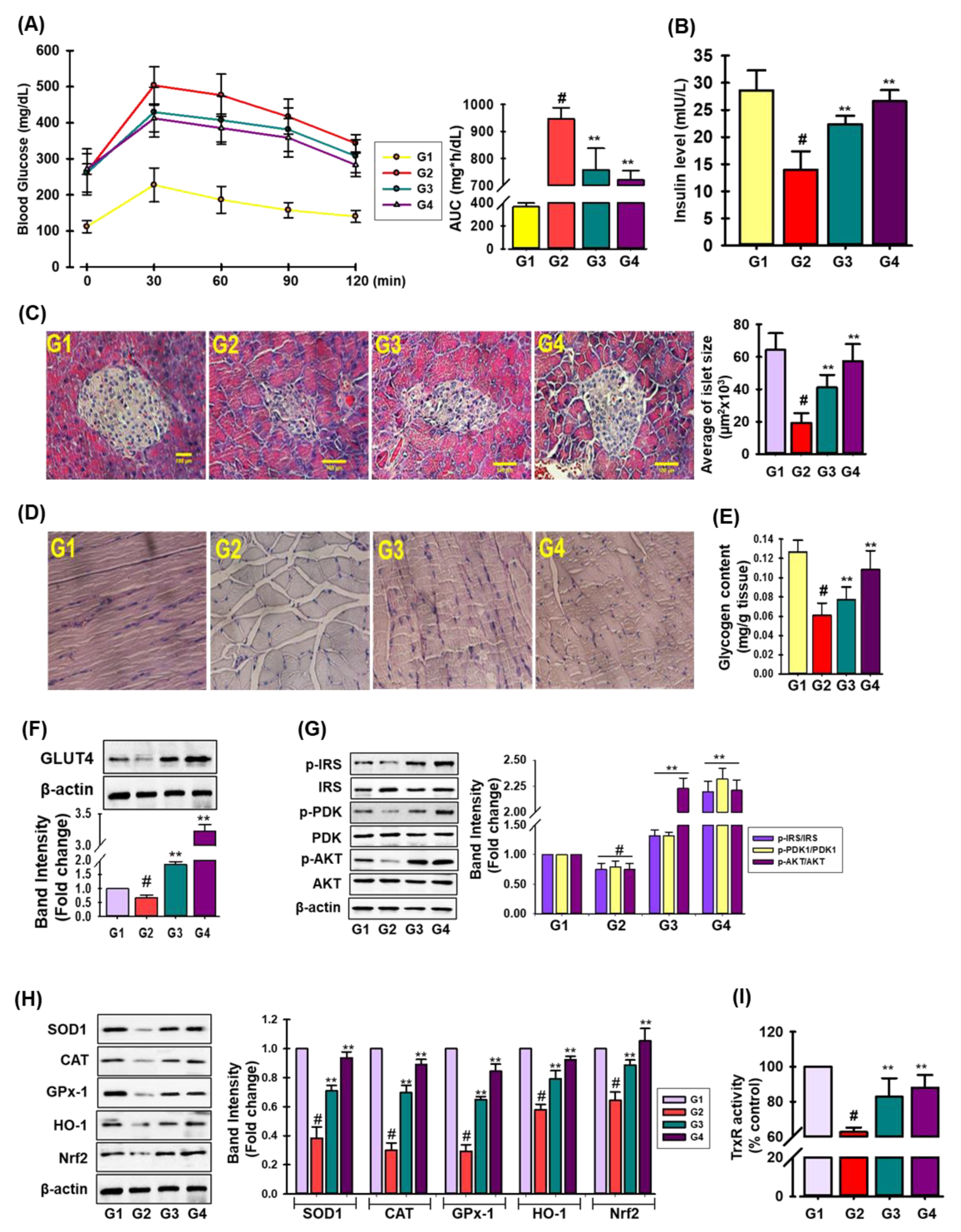 Antioxidants 11 01227 g006 Antioxidants 11 01227 g006