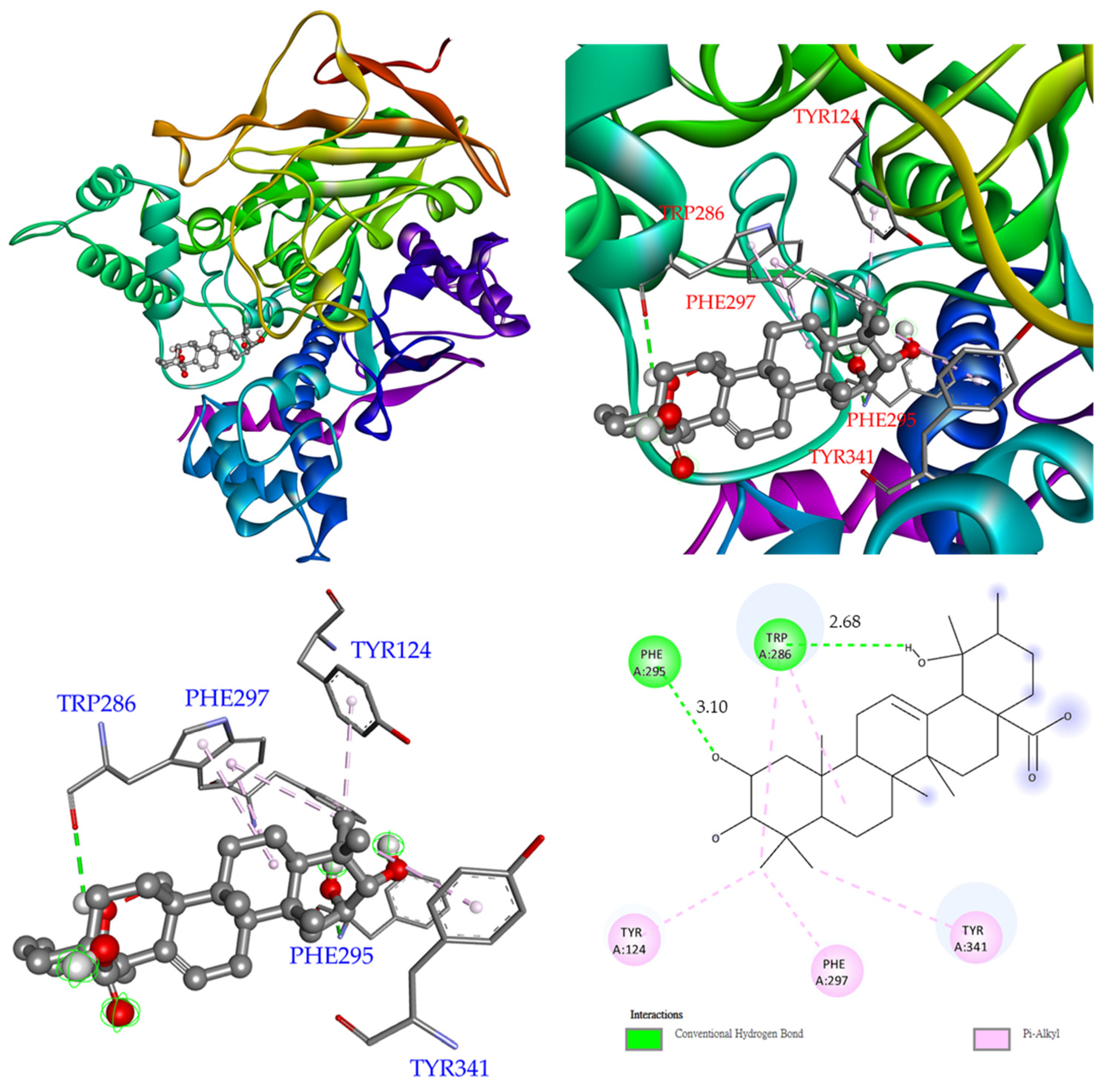 Antioxidants 11 01228 g005