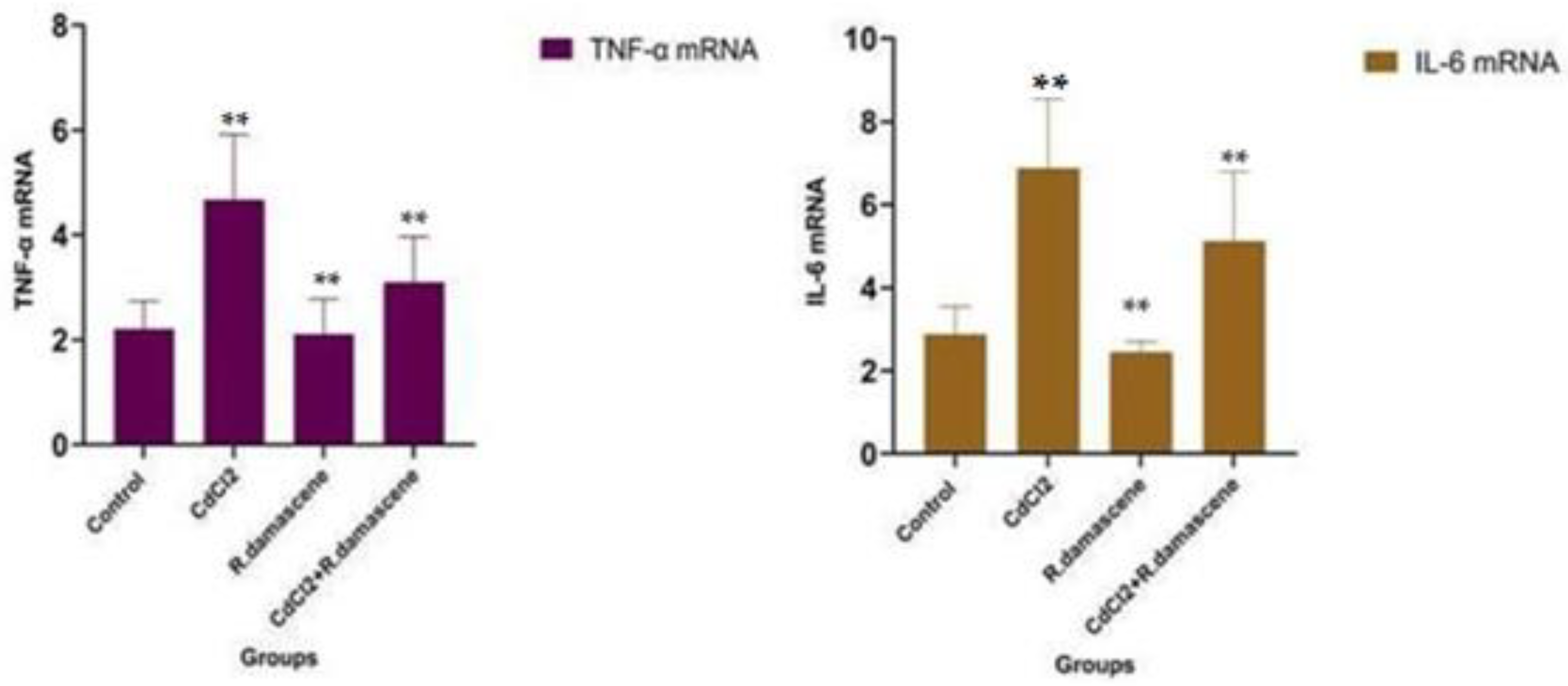 Antioxidants 11 01229 g004 550