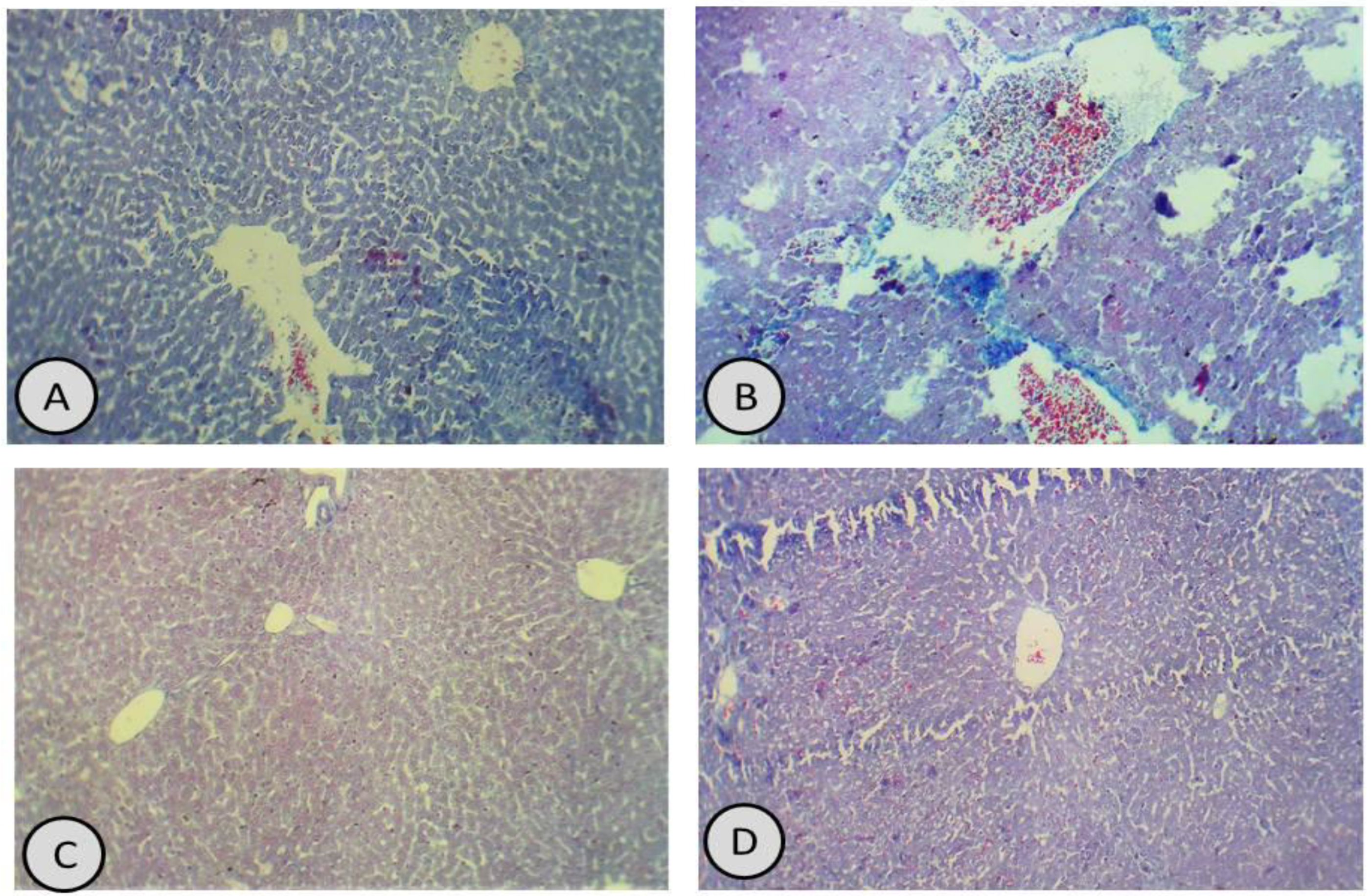 Antioxidants 11 01229 g007 550