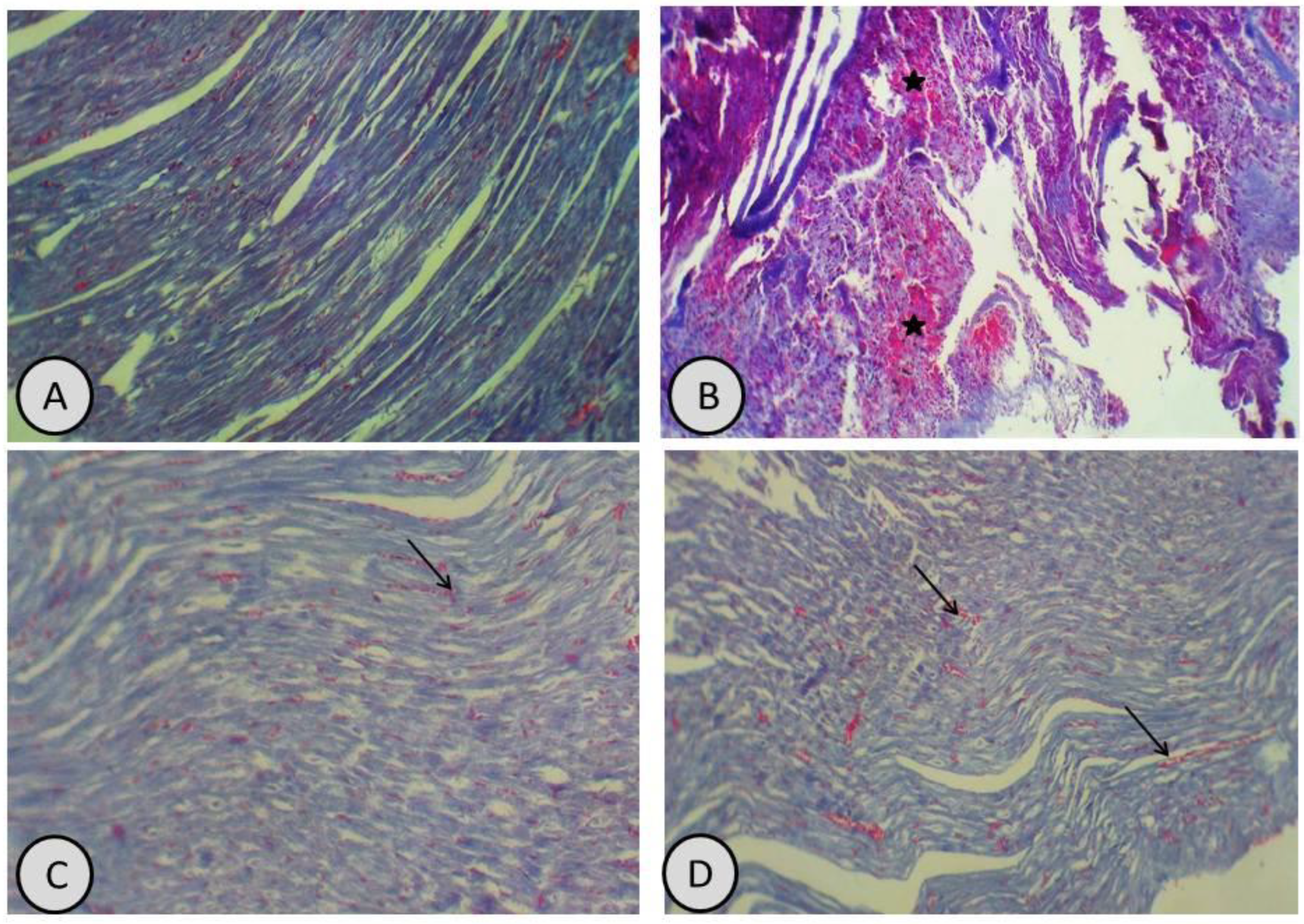 Antioxidants 11 01229 g008 550