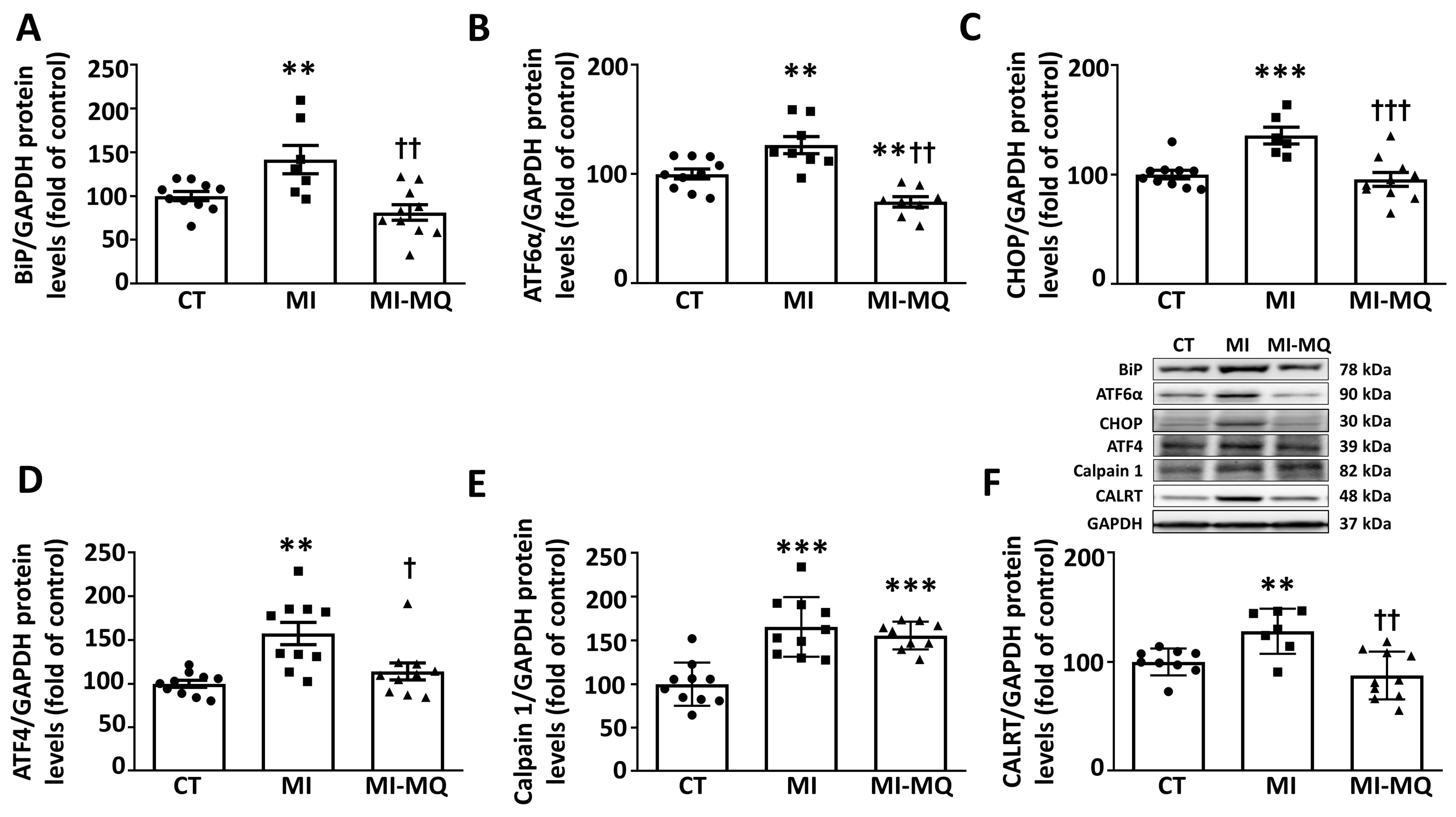 Antioxidants 11 01232 g004