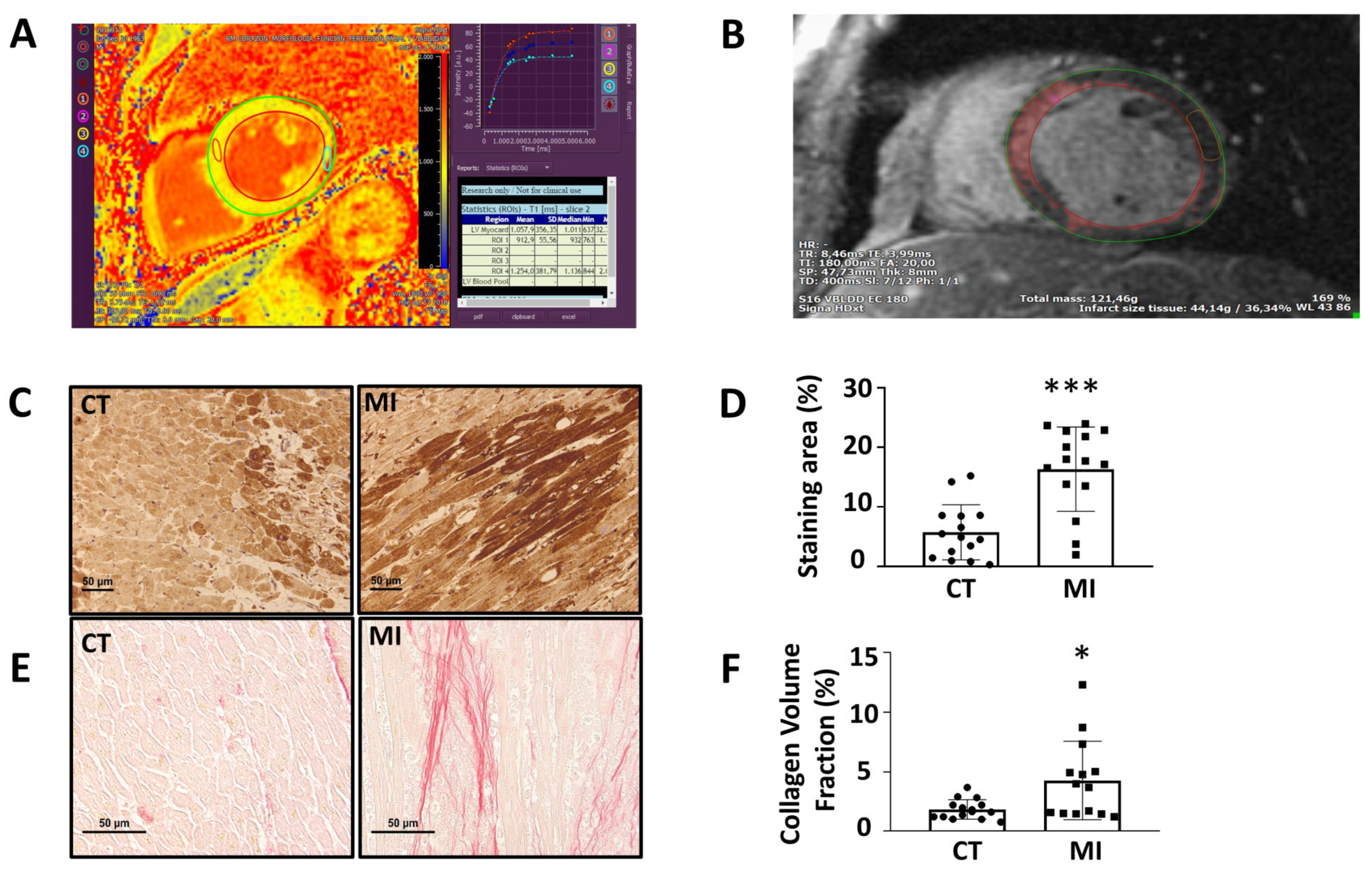 Antioxidants 11 01232 g005