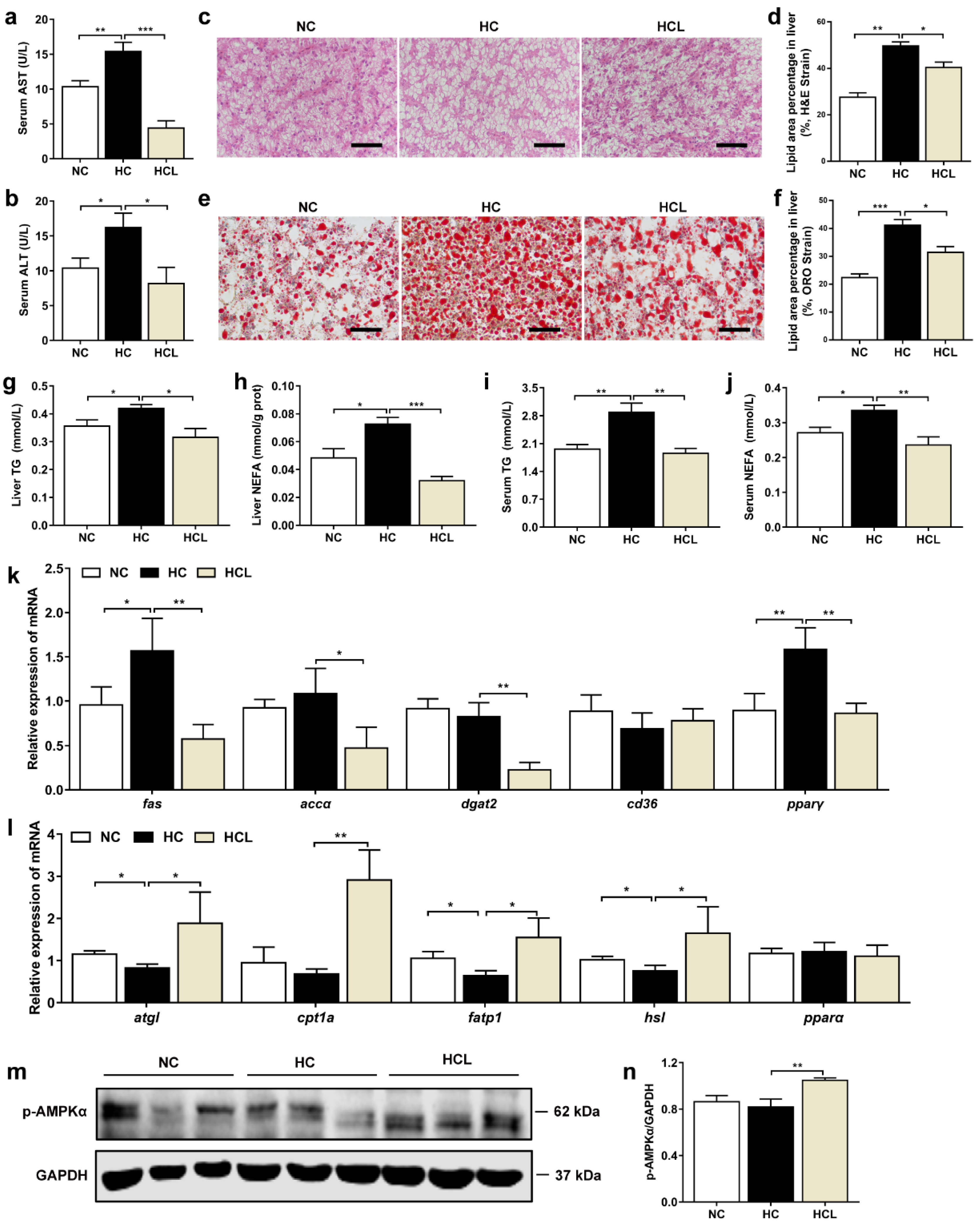 Antioxidants 11 01238 g001 550