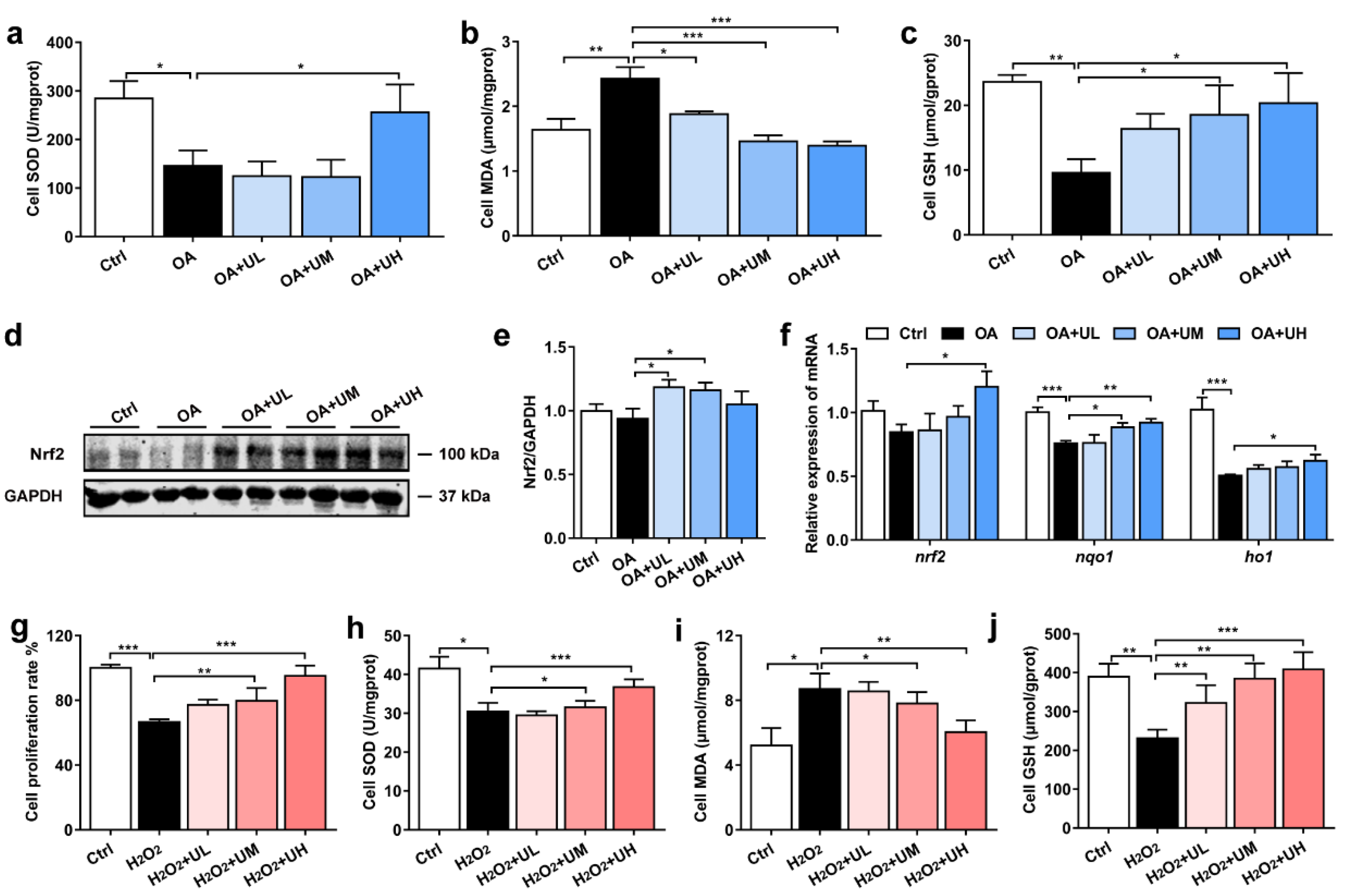 Antioxidants 11 01238 g005 550