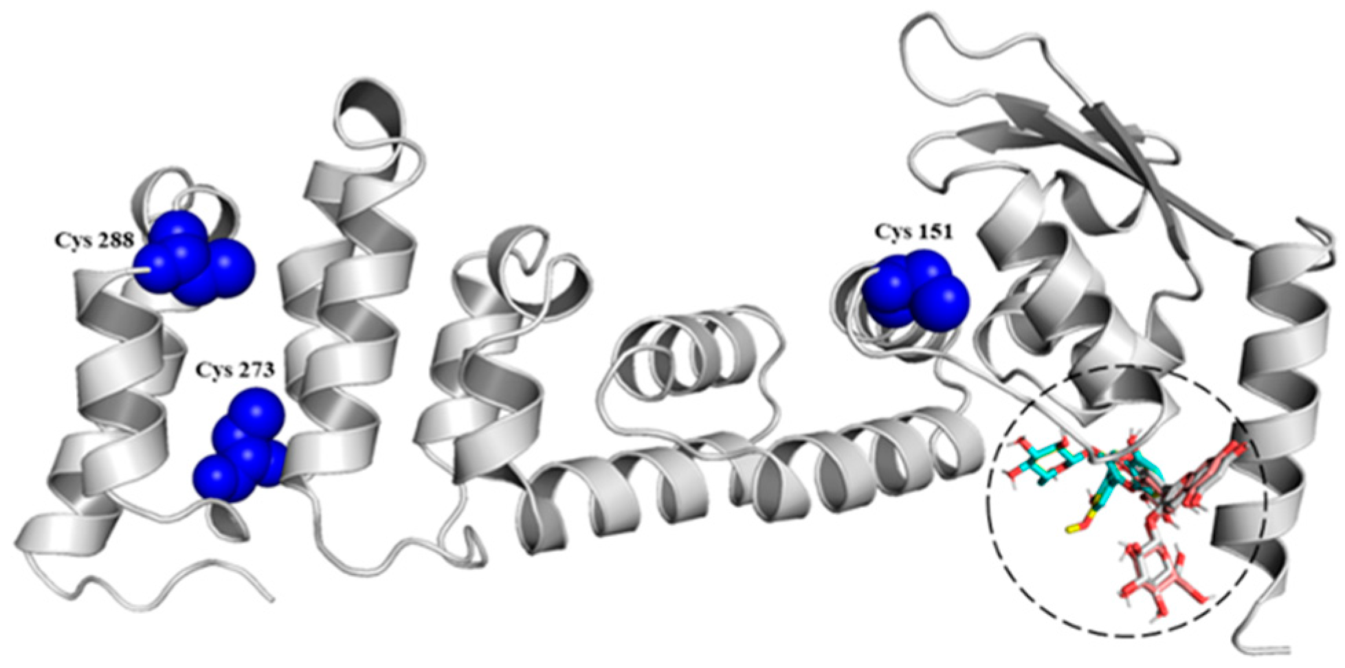 Antioxidants | Free Full-Text | Anthocyanins Found in Pinot Noir Waste ...