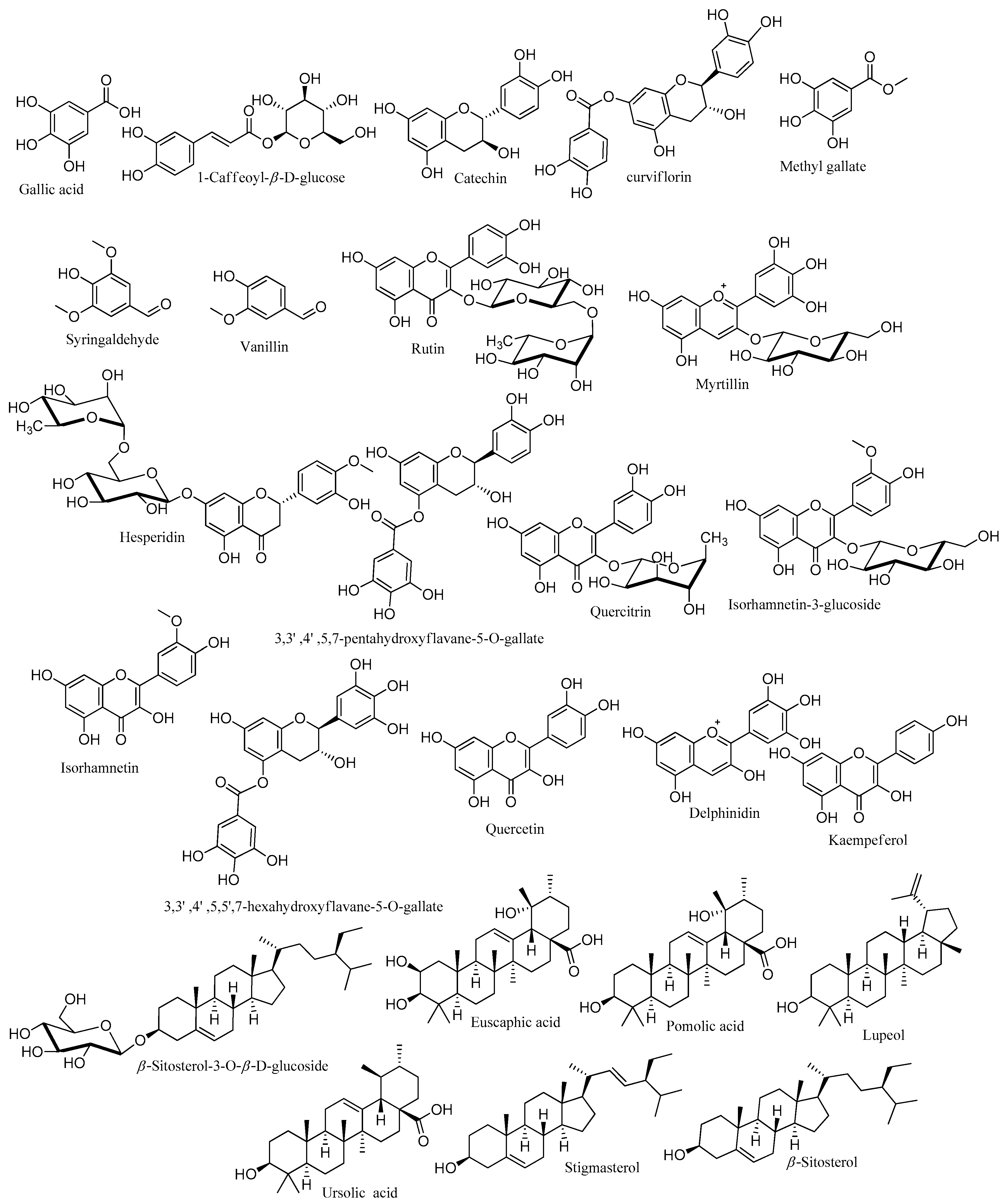 Antioxidants 11 01249 g008