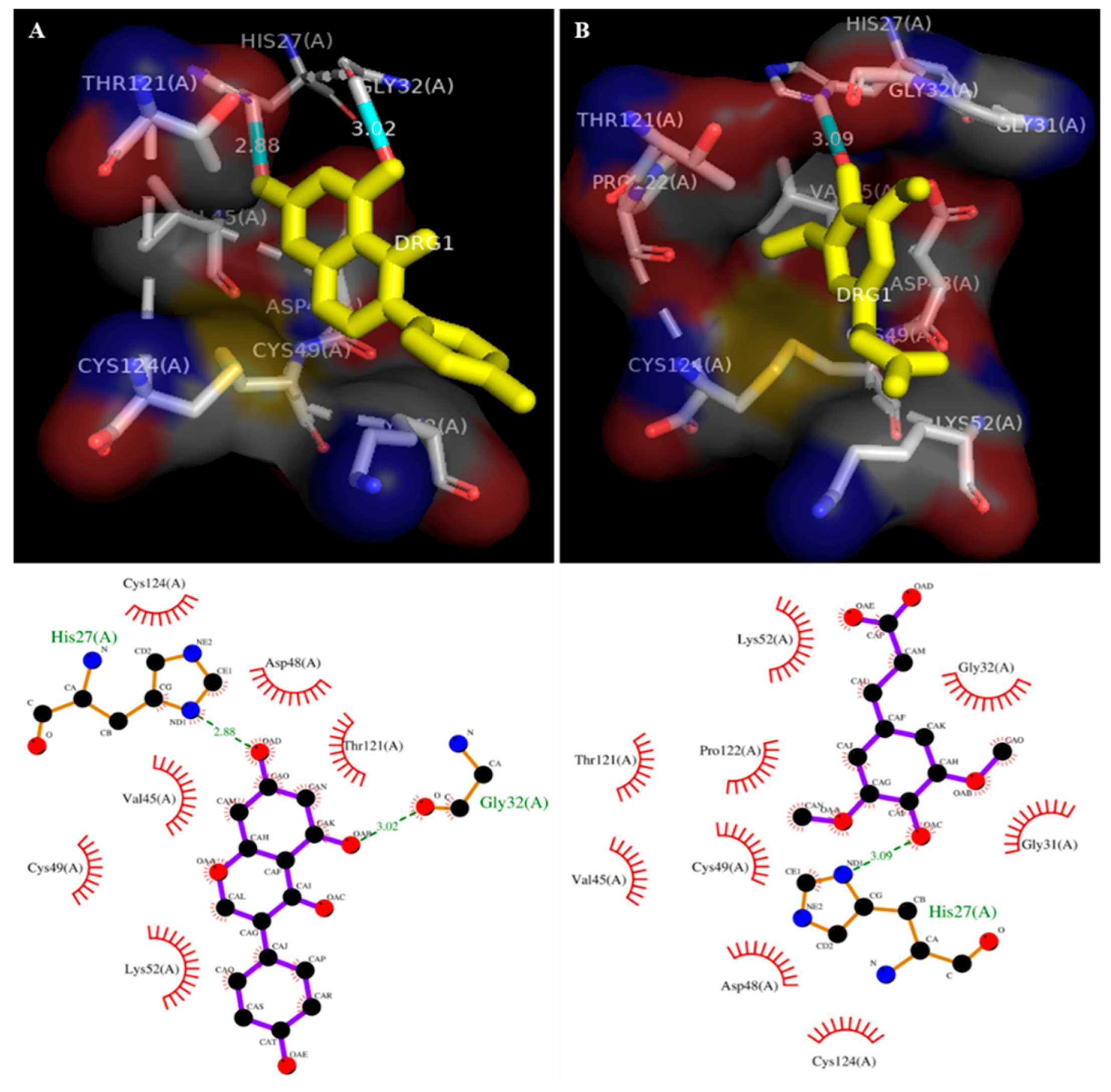 Antioxidants 11 01251 g002 Antioxidants 11 01251 g002