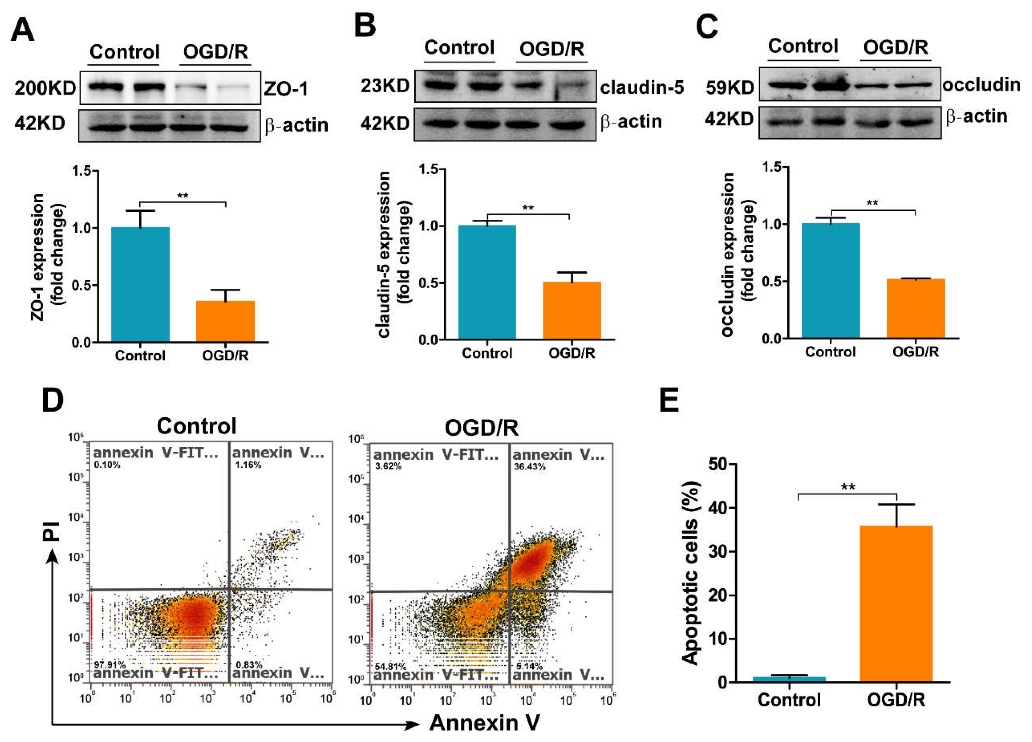 Antioxidants 11 01257 g006