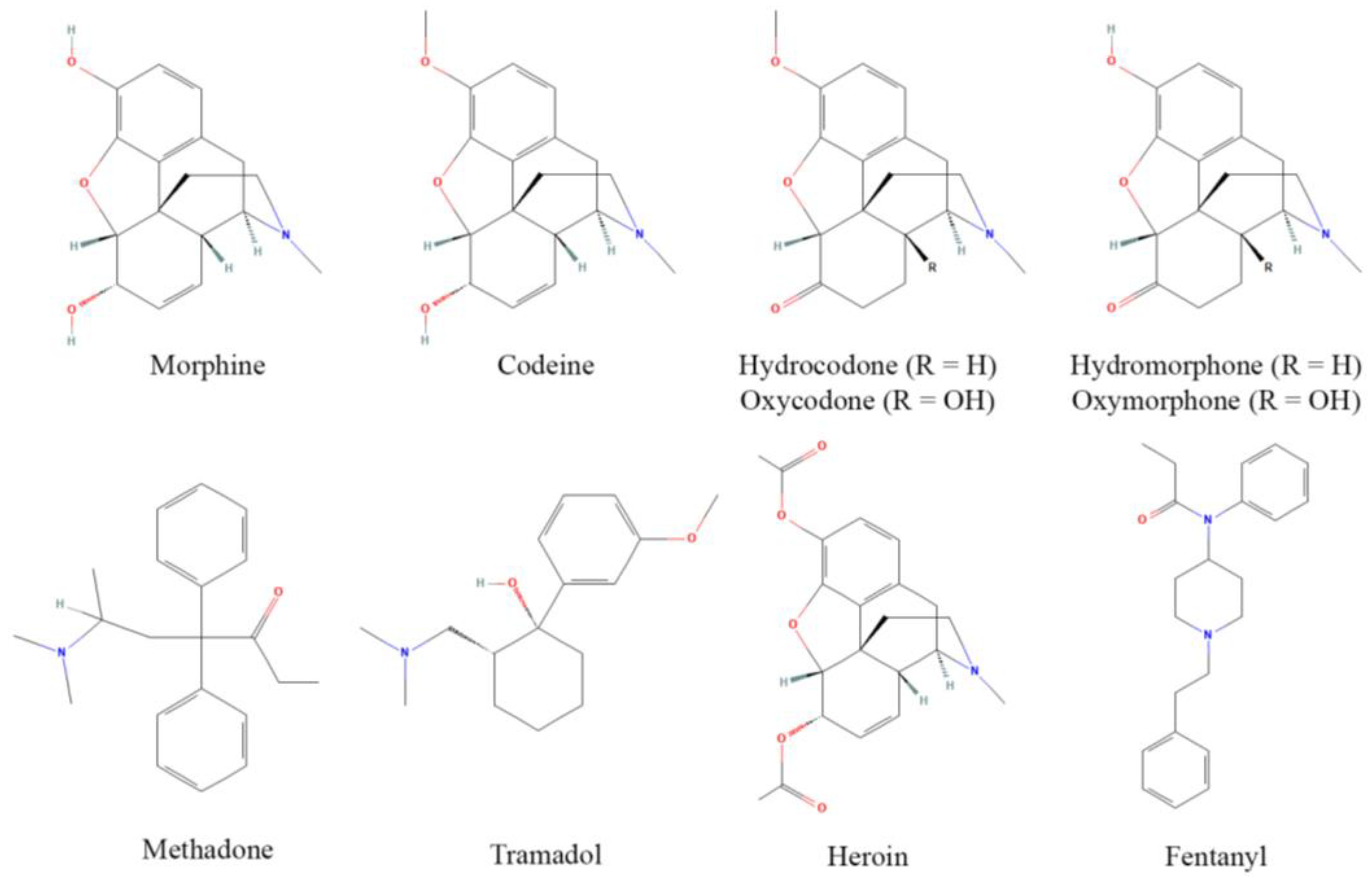 Antioxidants 11 01267 g001 Antioxidants 11 01267 g001