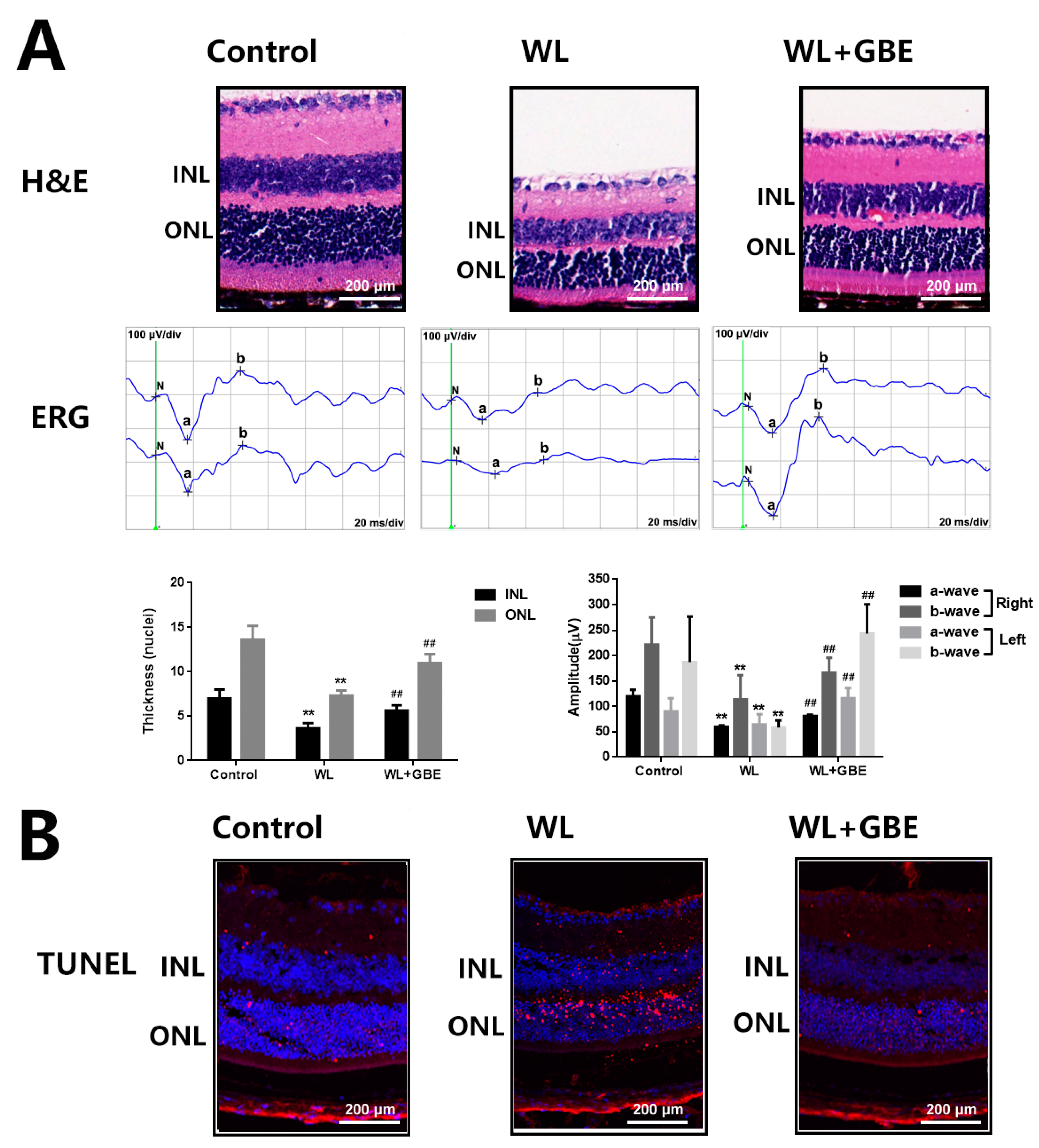 Antioxidants 11 01268 g002
