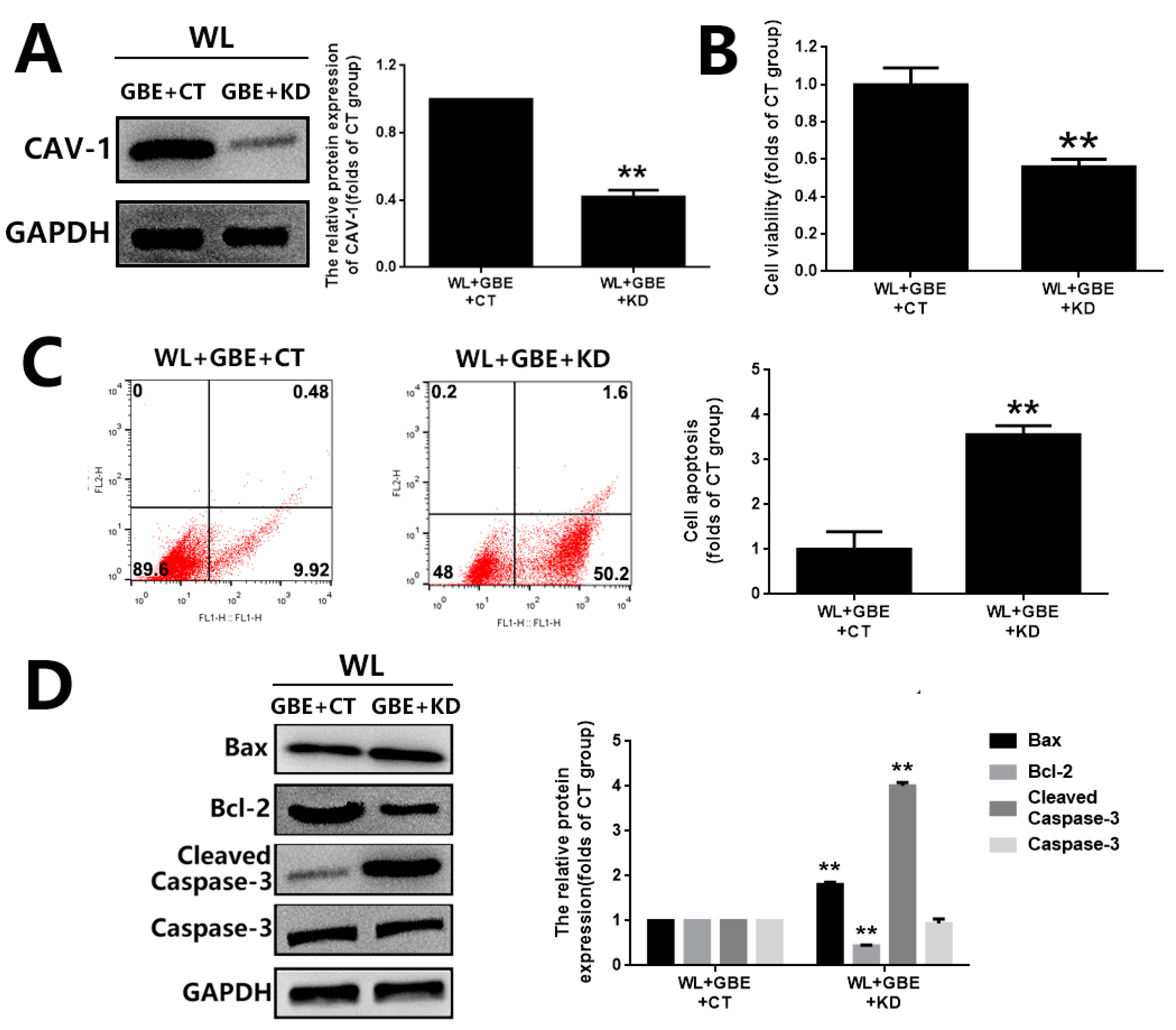 Antioxidants 11 01268 g008