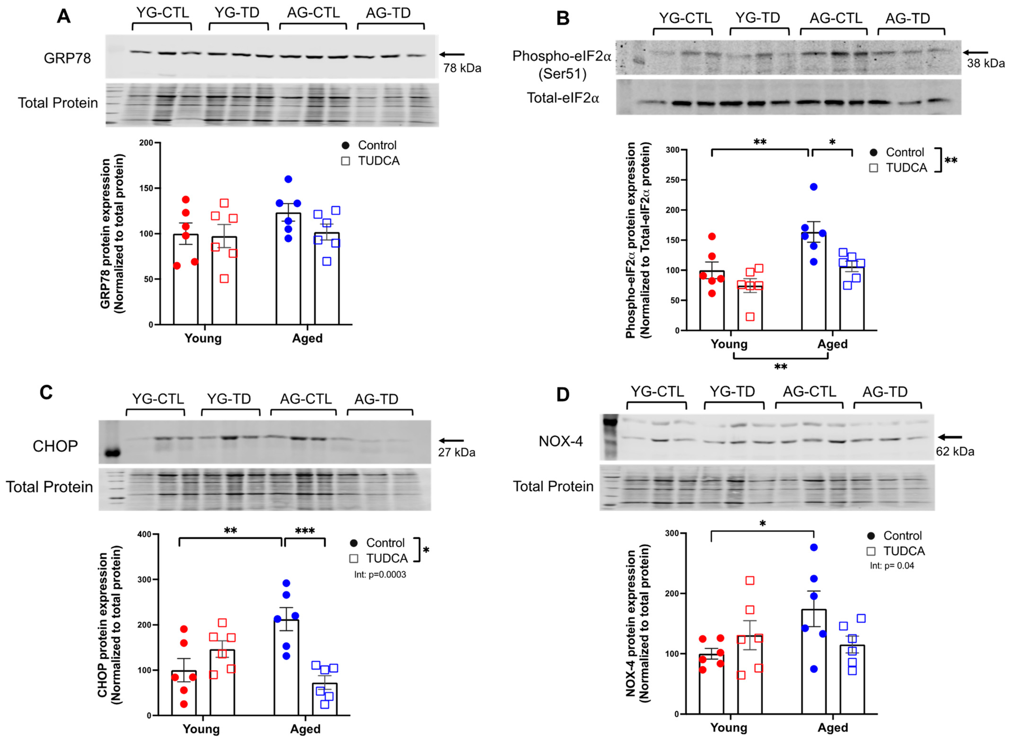 Antioxidants 11 01275 g002