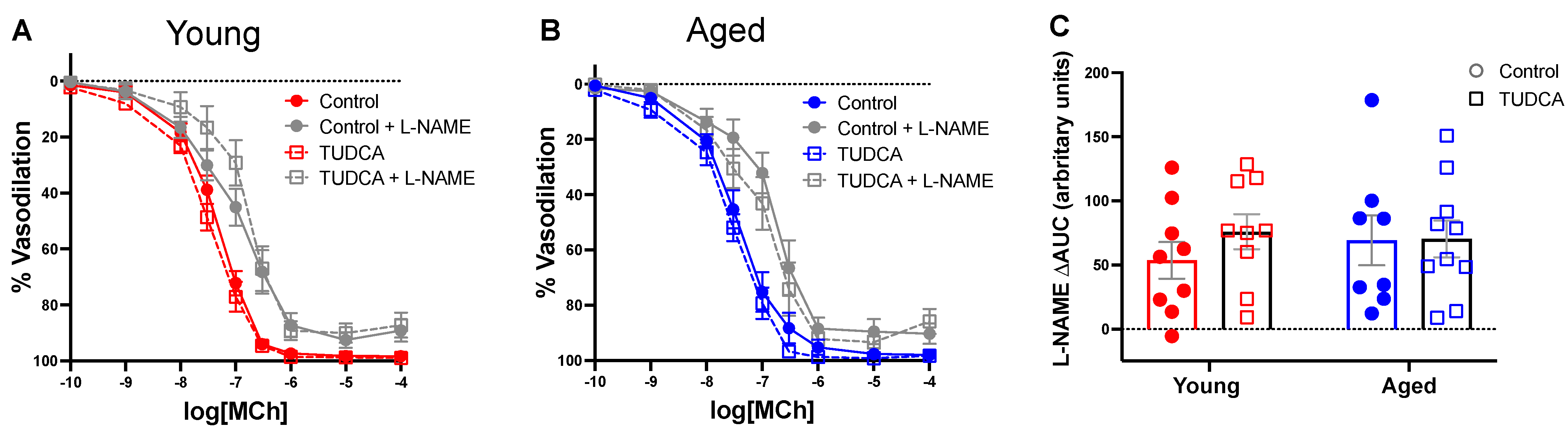 Antioxidants 11 01275 g005