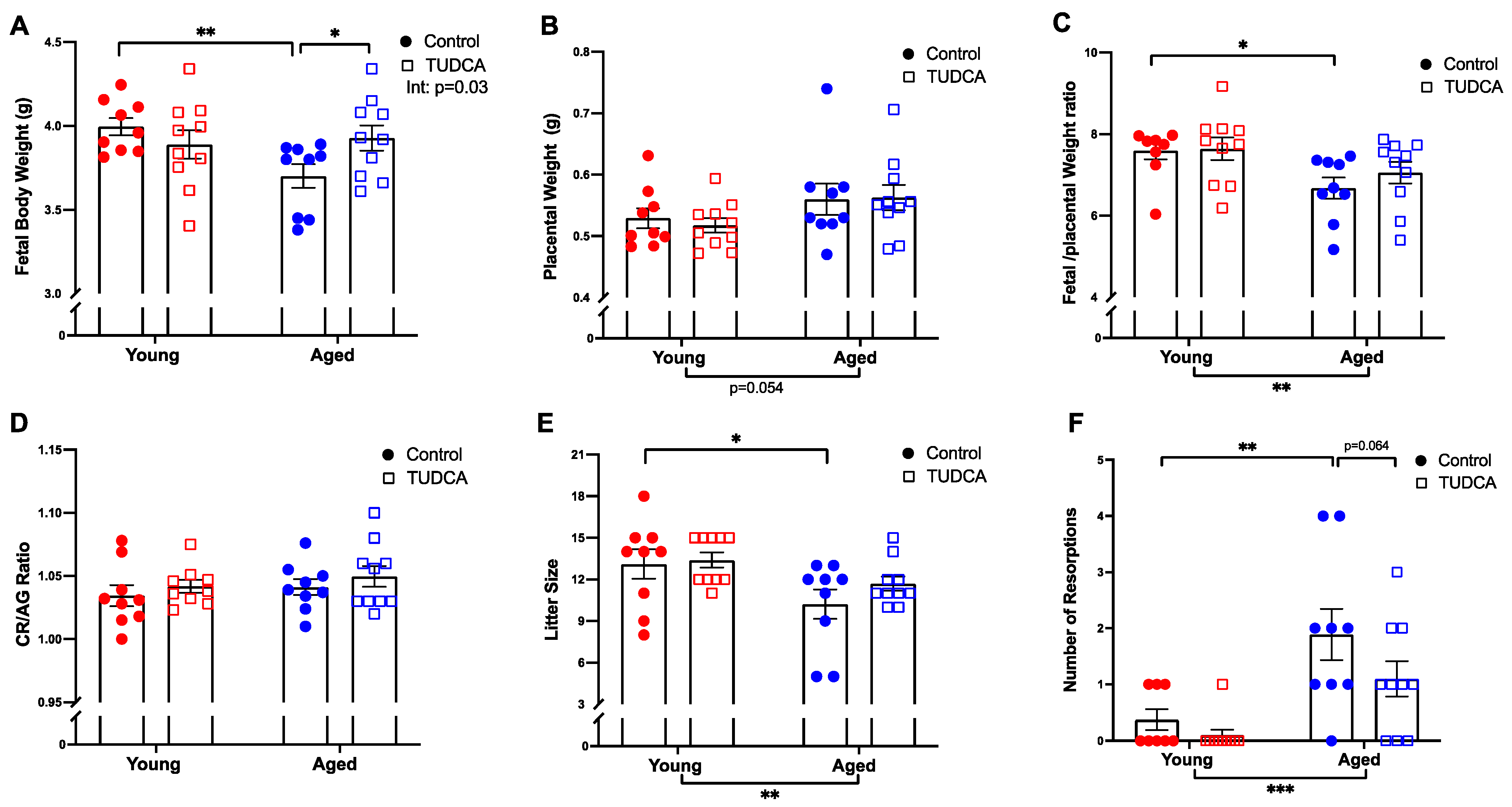 Antioxidants 11 01275 g006