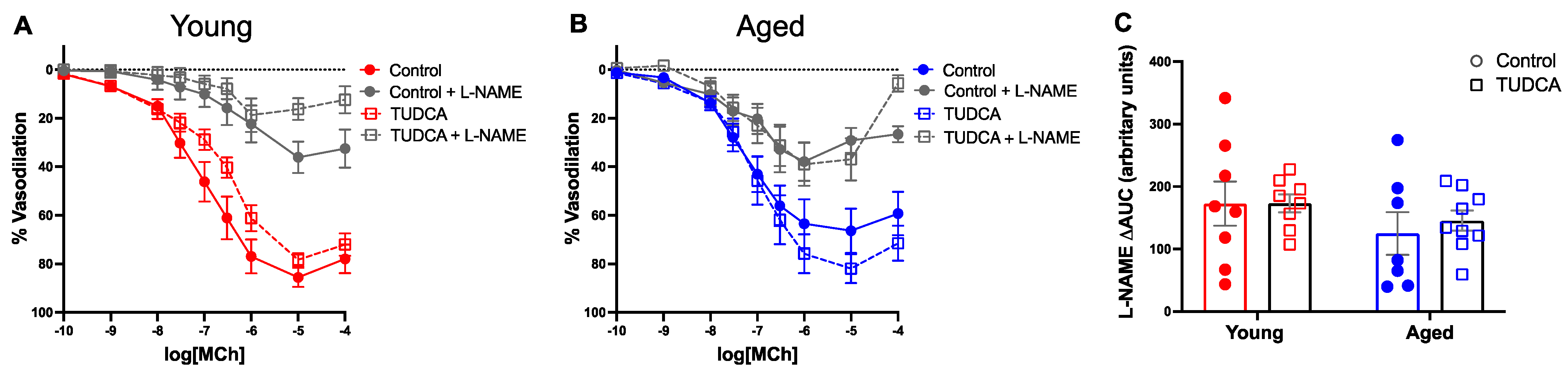 Antioxidants 11 01275 g008