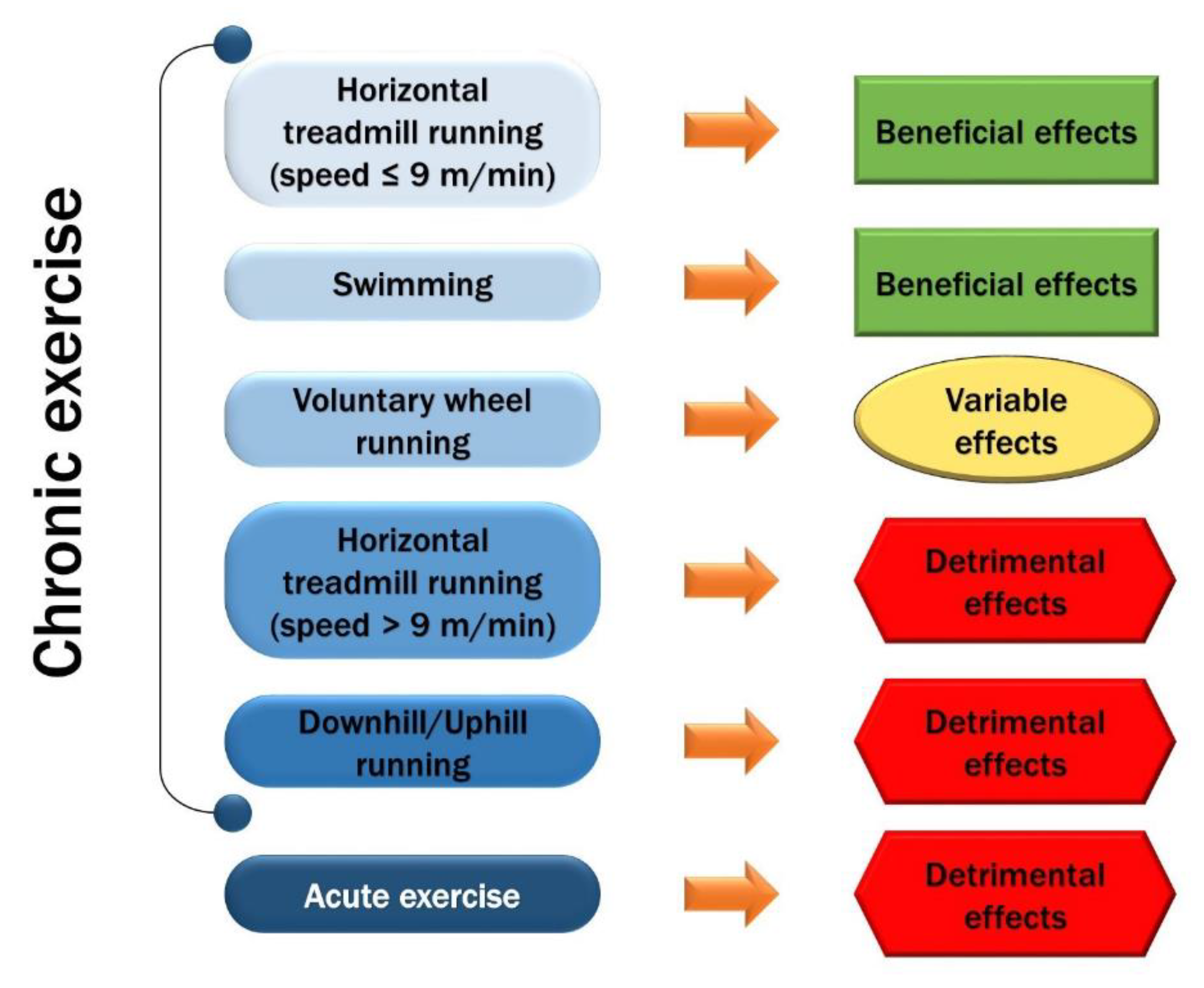 Antioxidants 11 01299 g003 550