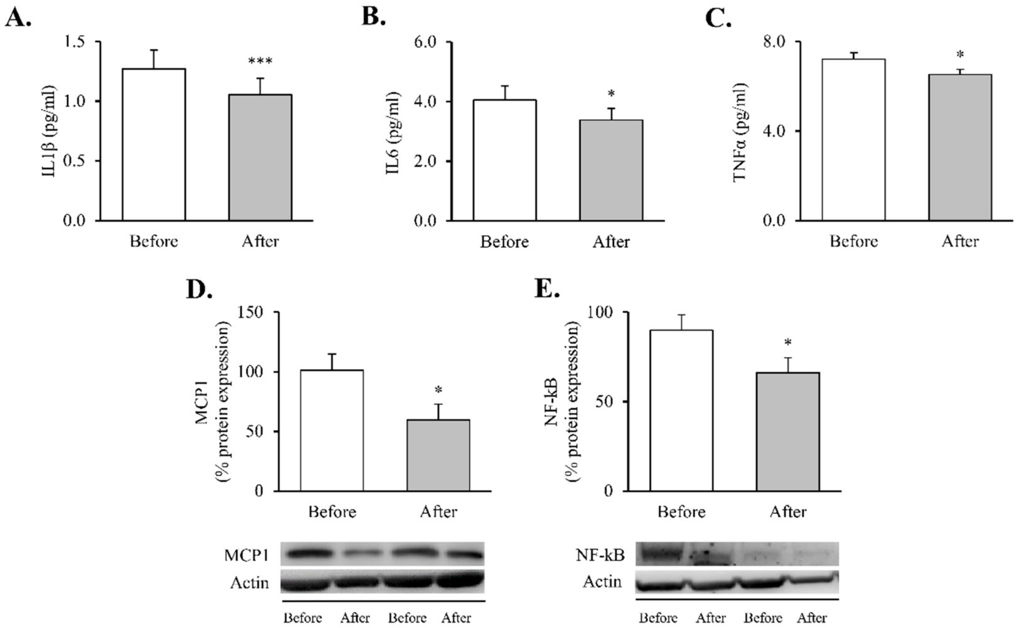Antioxidants 11 01302 g001