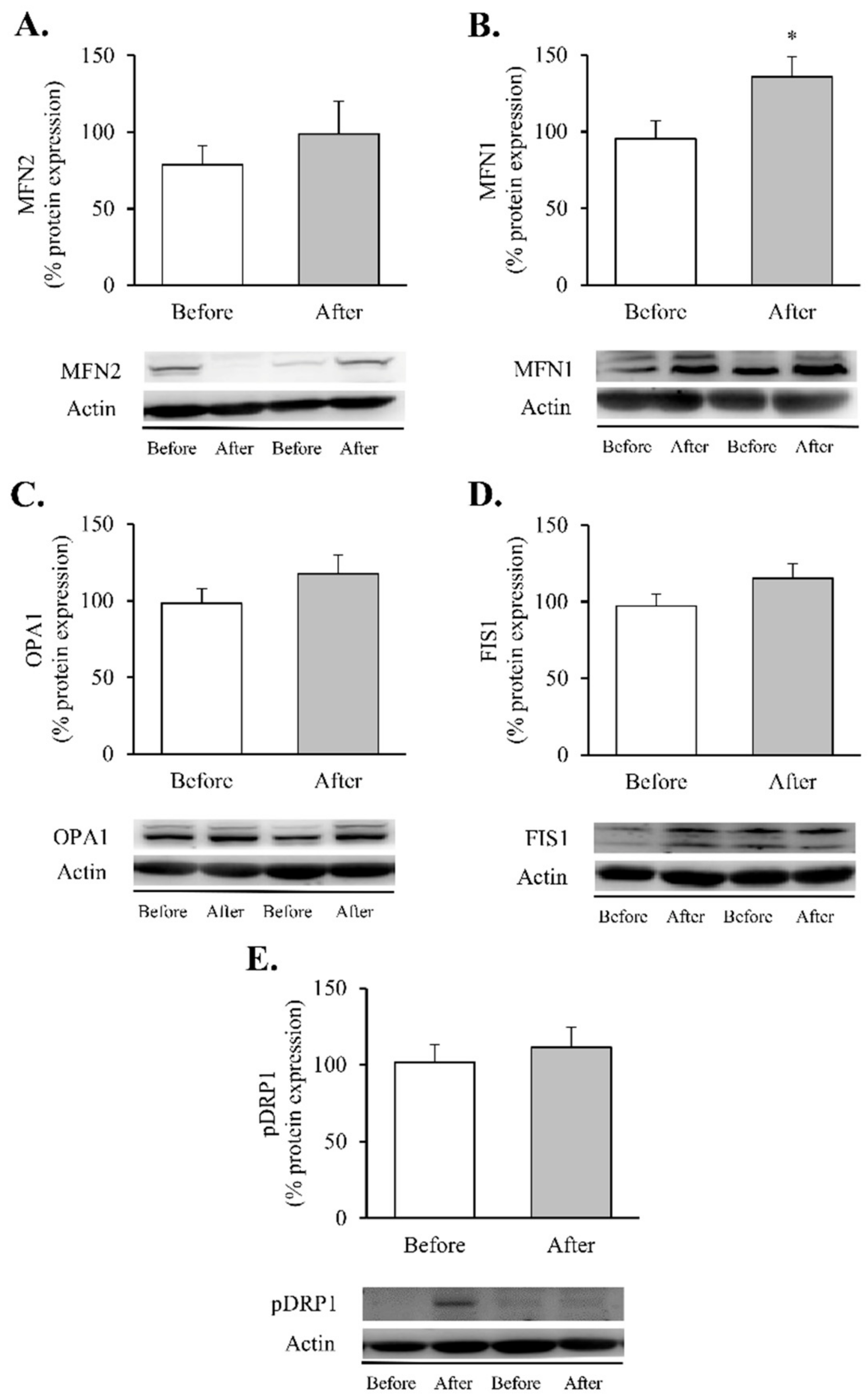 Antioxidants 11 01302 g005
